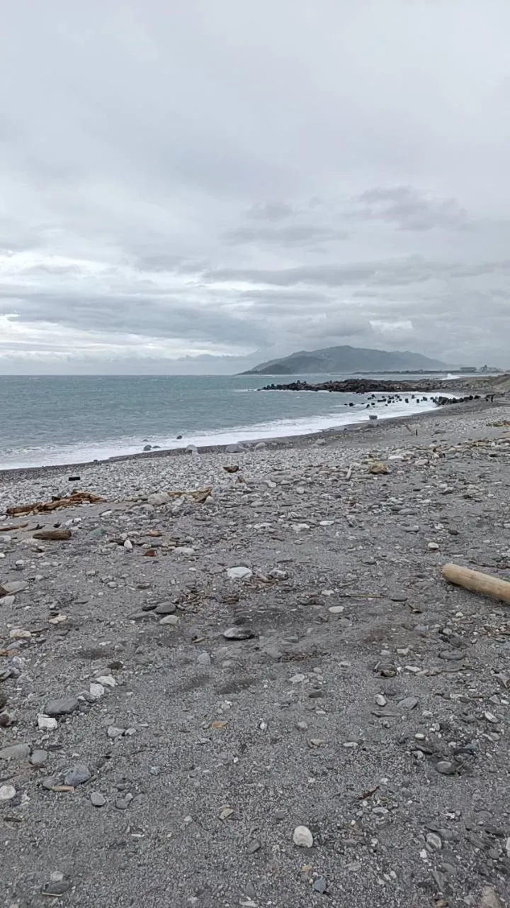 Constellation Coast B&B