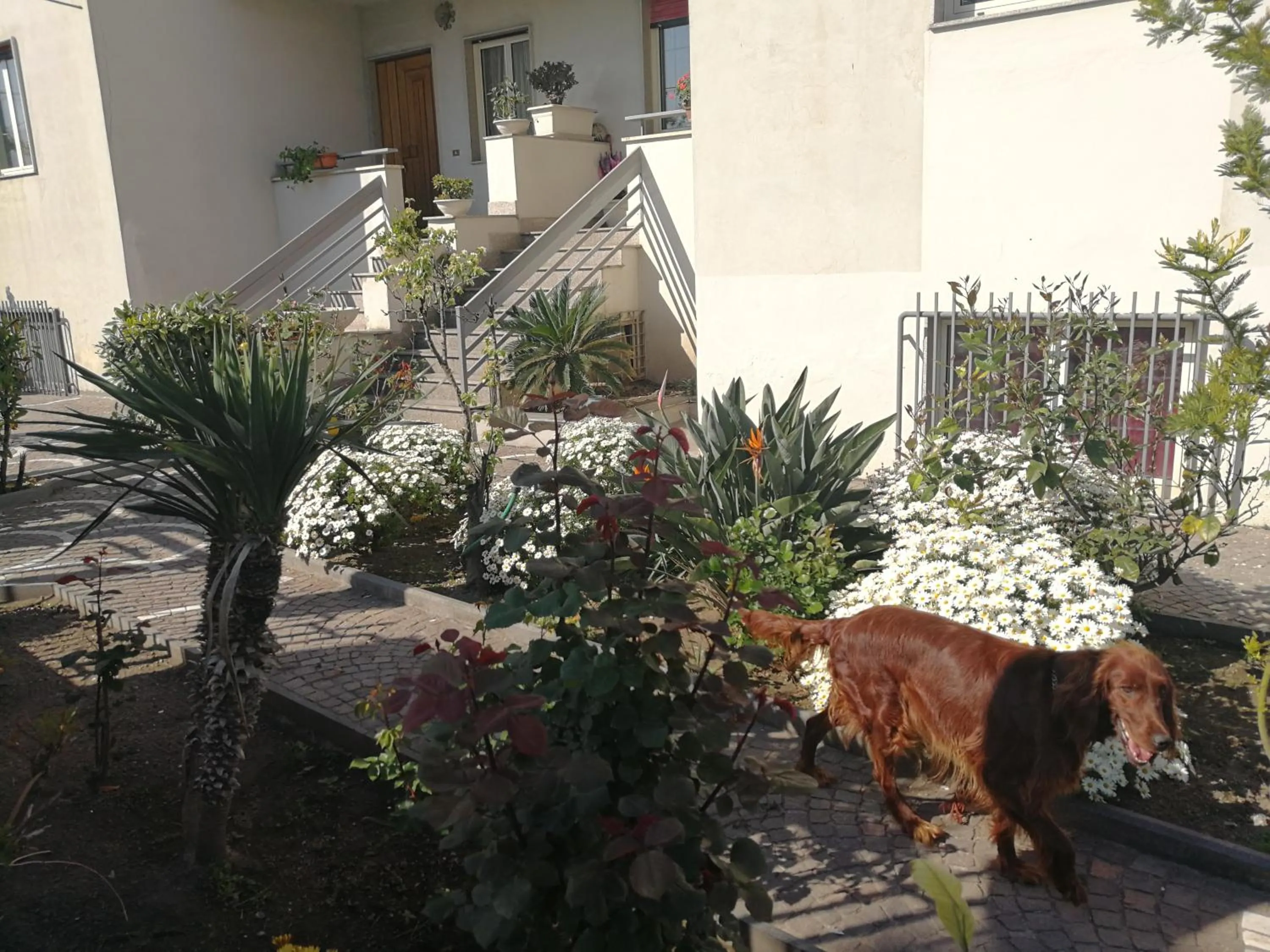 Garden in AreA DomuS