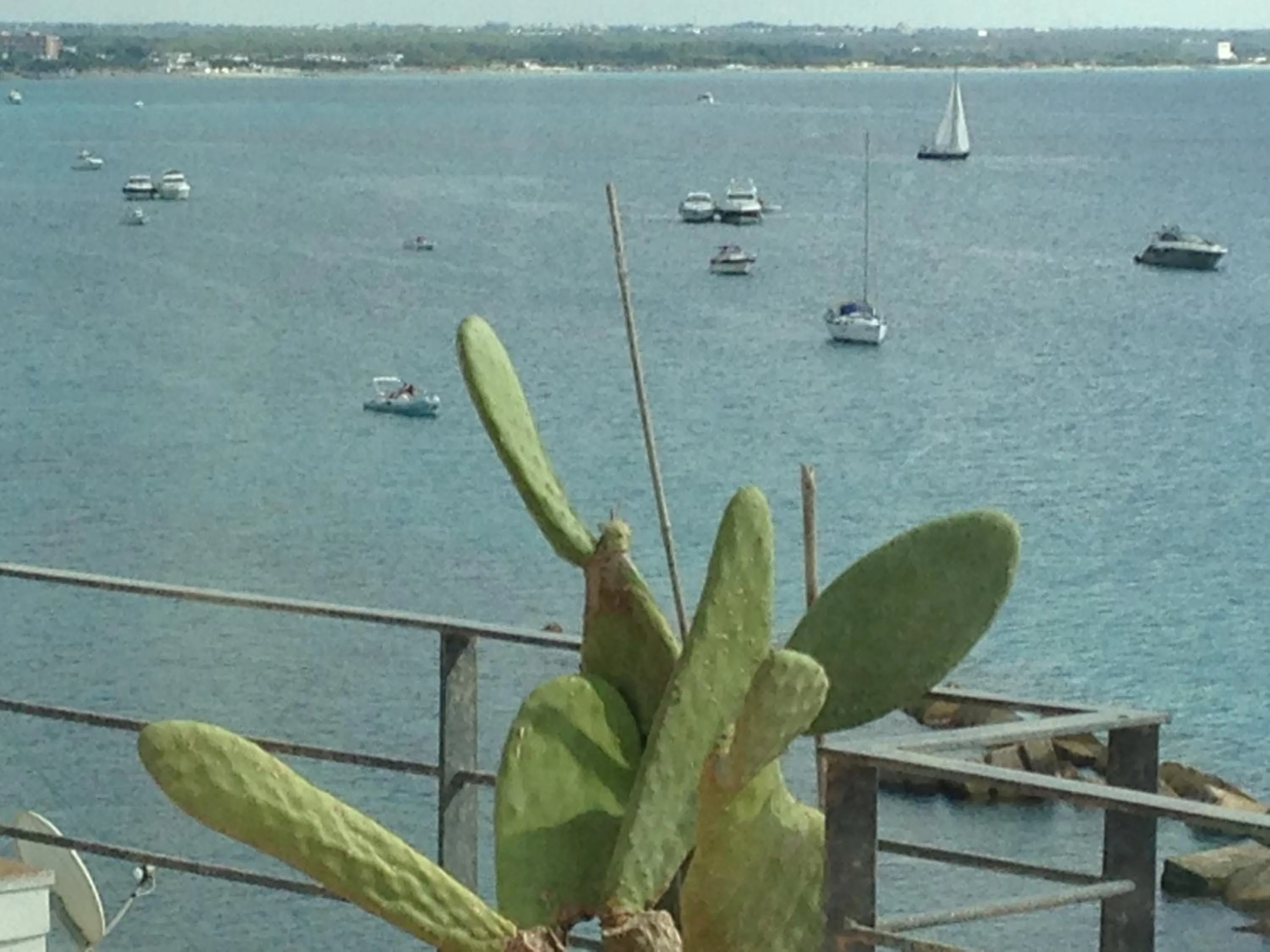 Natural landscape in Palace Blu Mare