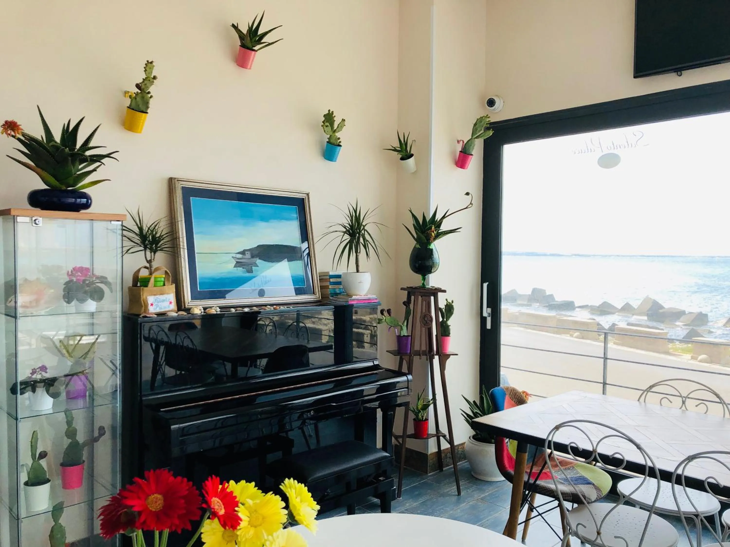 Communal lounge/ TV room in Palace Blu Mare