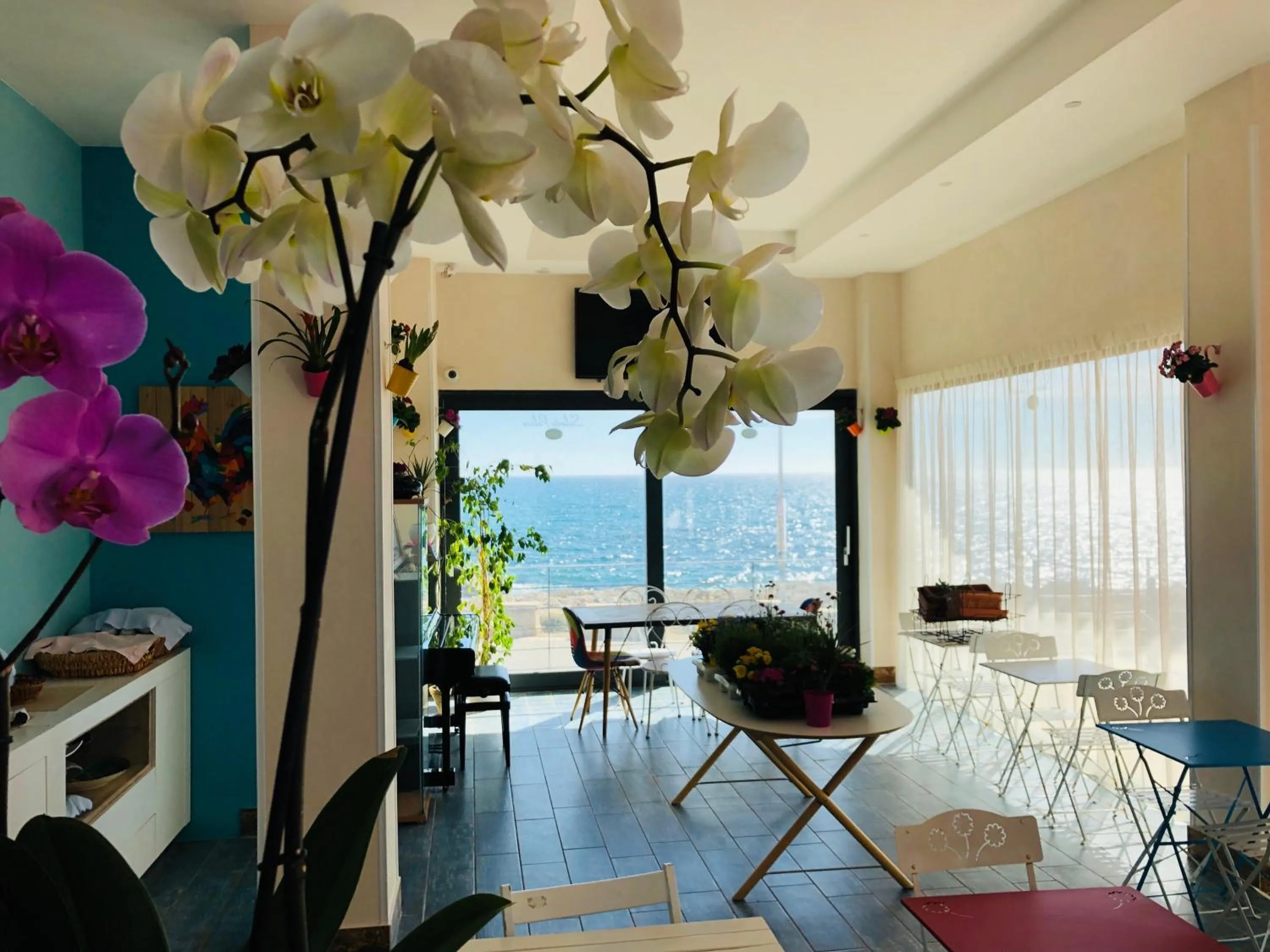 Communal lounge/ TV room in Palace Blu Mare