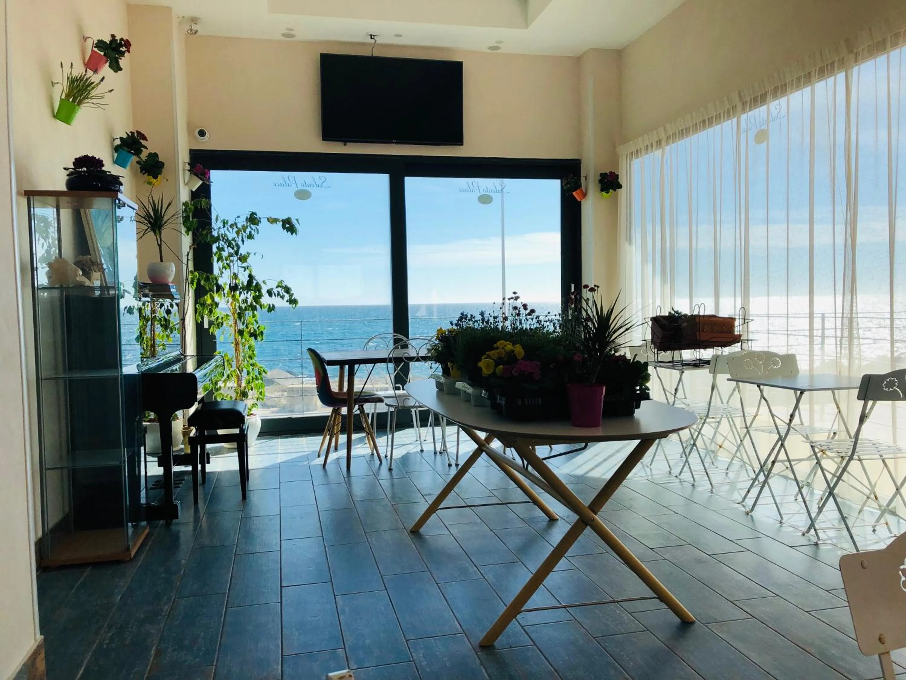 Lounge or bar in Palace Blu Mare