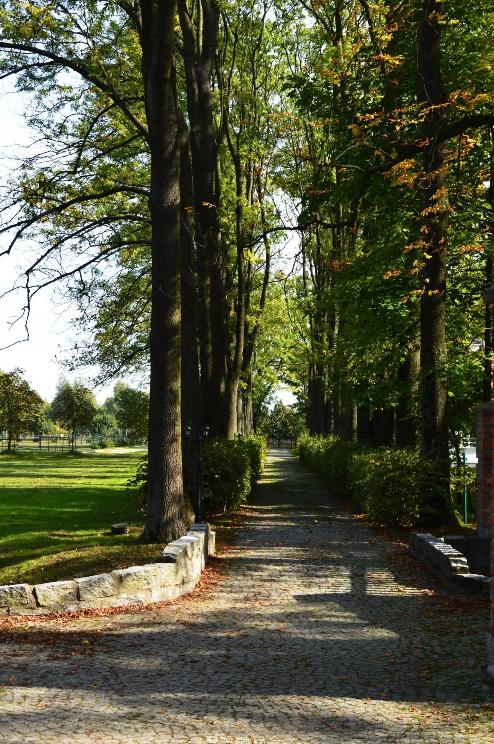 Natural landscape in Farma Many B&B, noclegi Suntago & DeepSpot