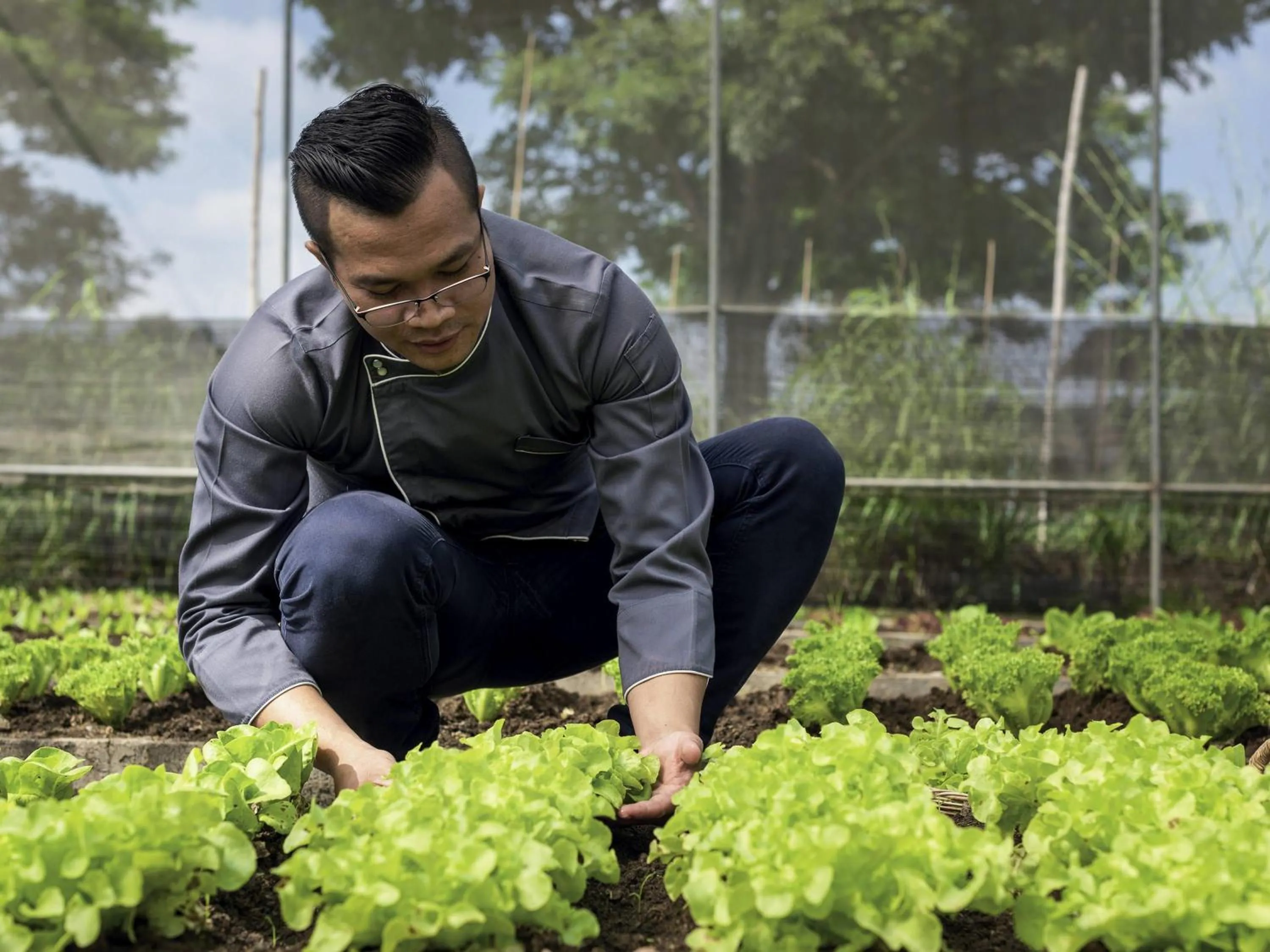 Restaurant/places to eat in Mövenpick Resort Khao Yai