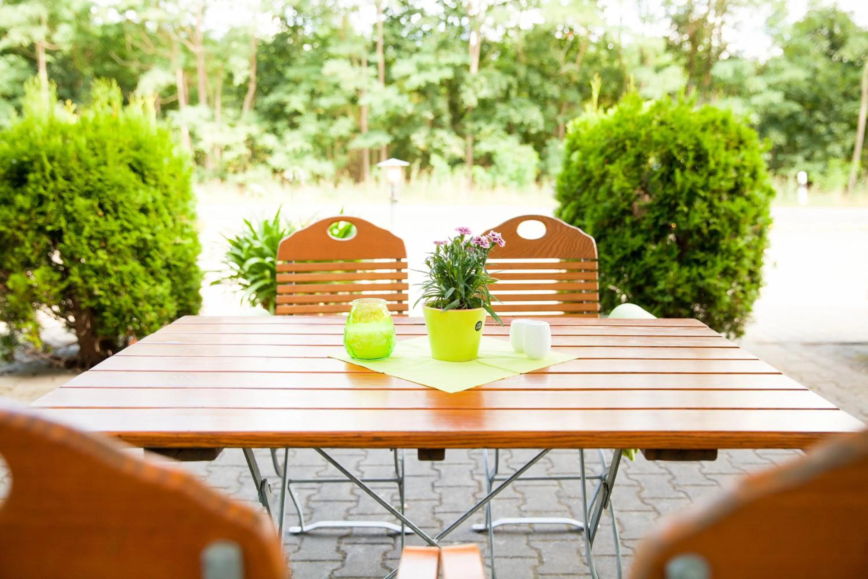 Balcony/Terrace in Hotel Am Meilenstein