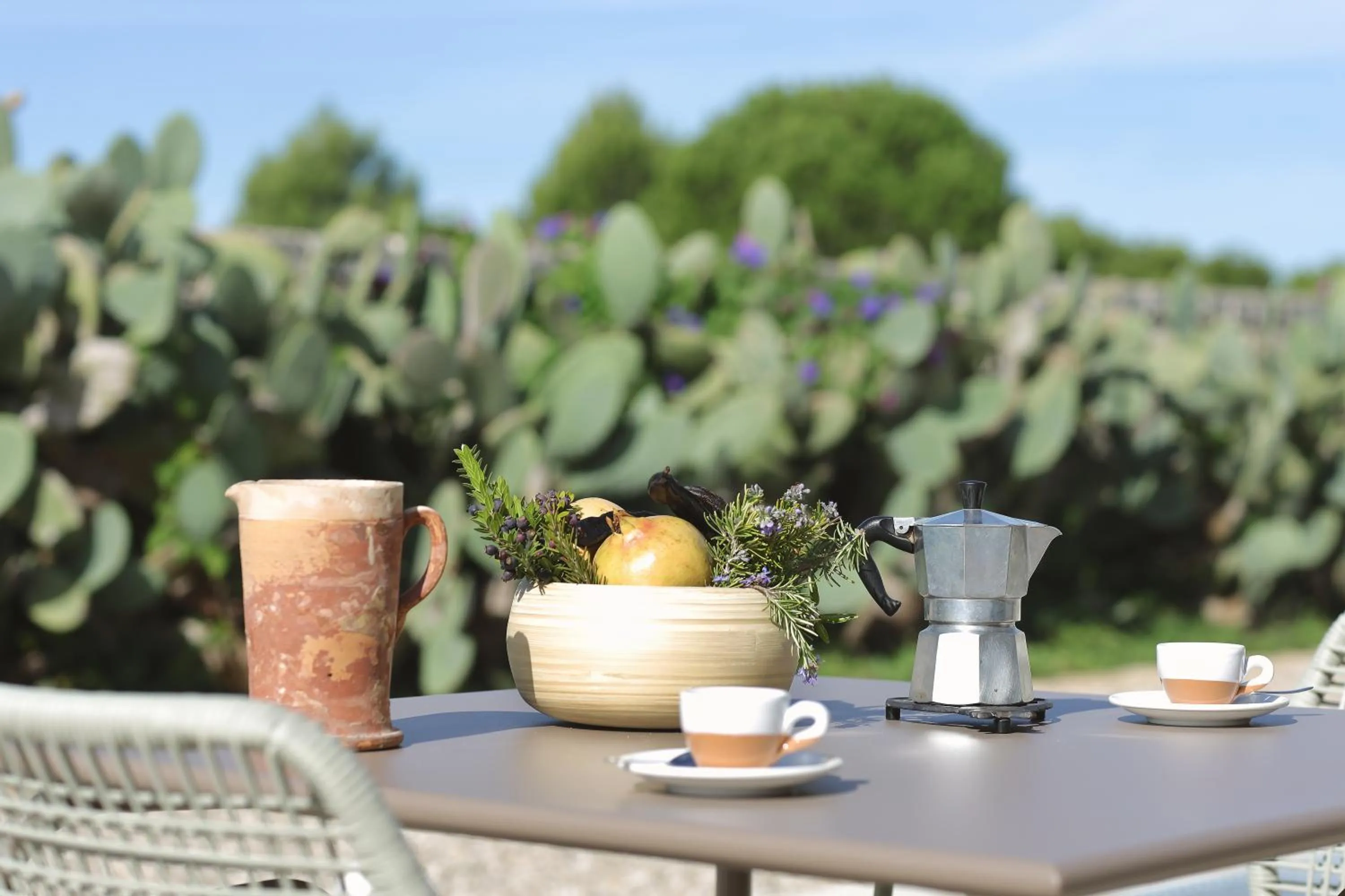 Garden in Masseria Borgo Sentinella