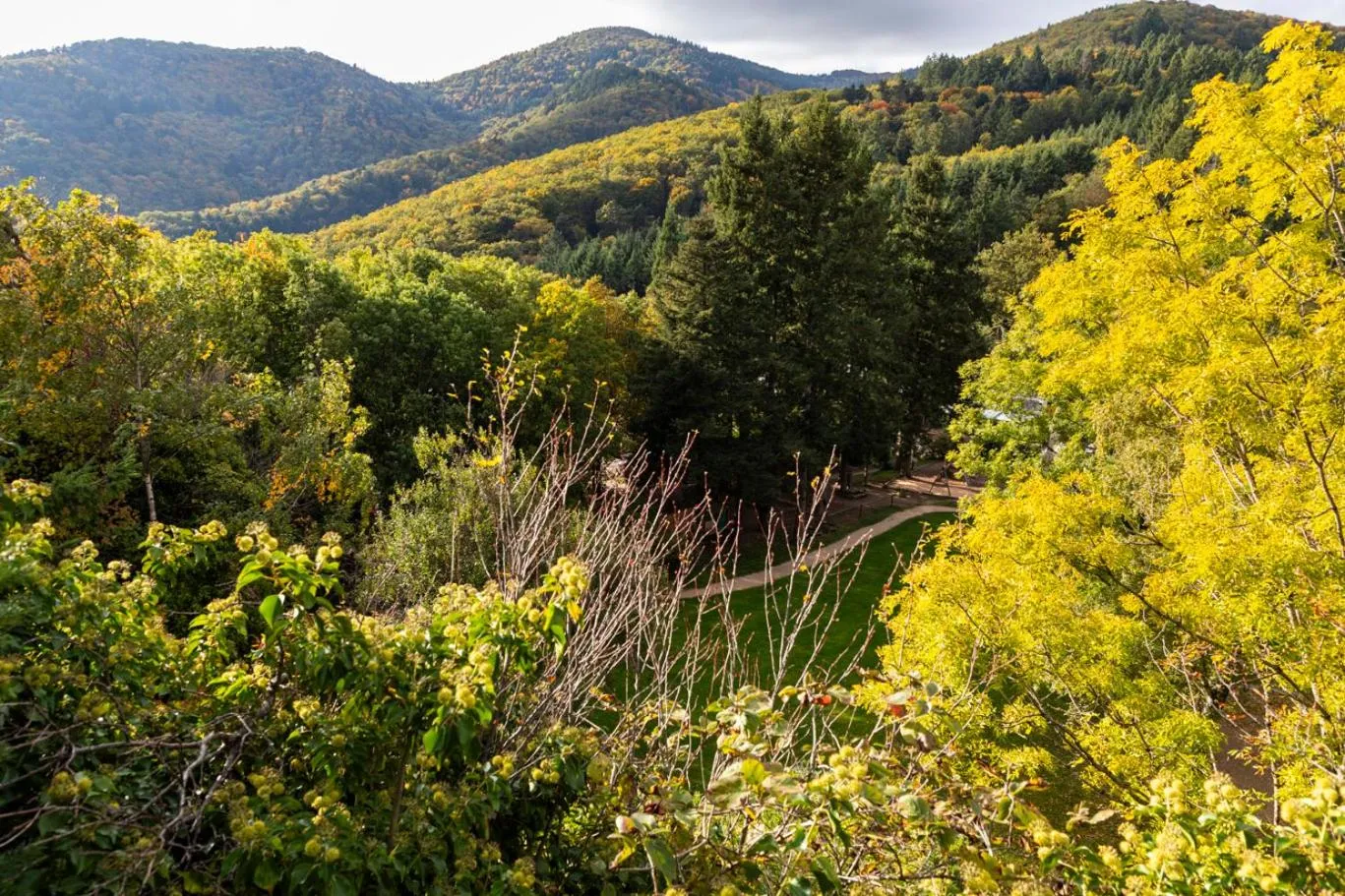 Mountain view in Domaine du Hirtz, Restaurant & Spa