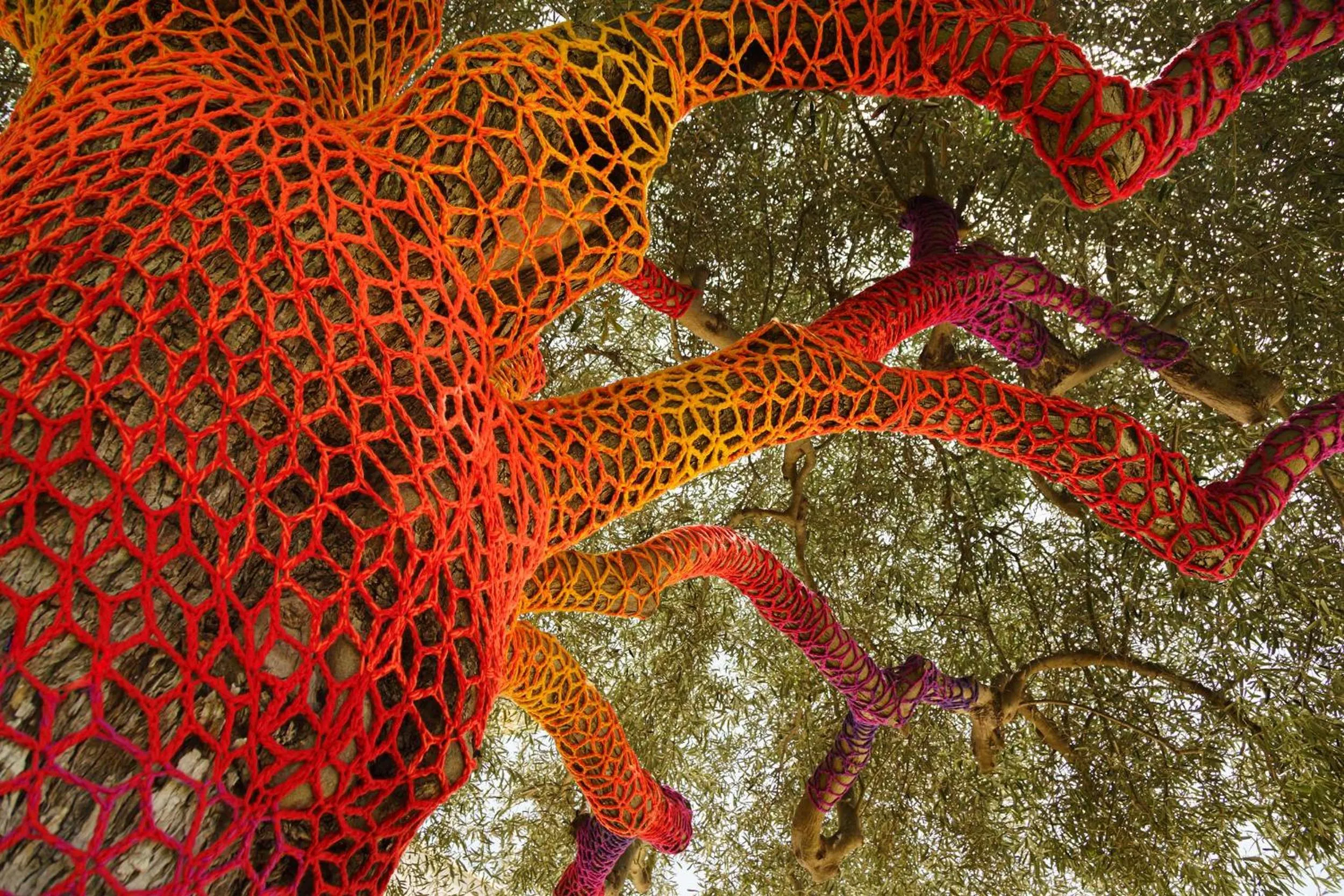 Garden in Zahir Country House Boutique Hotel Noto