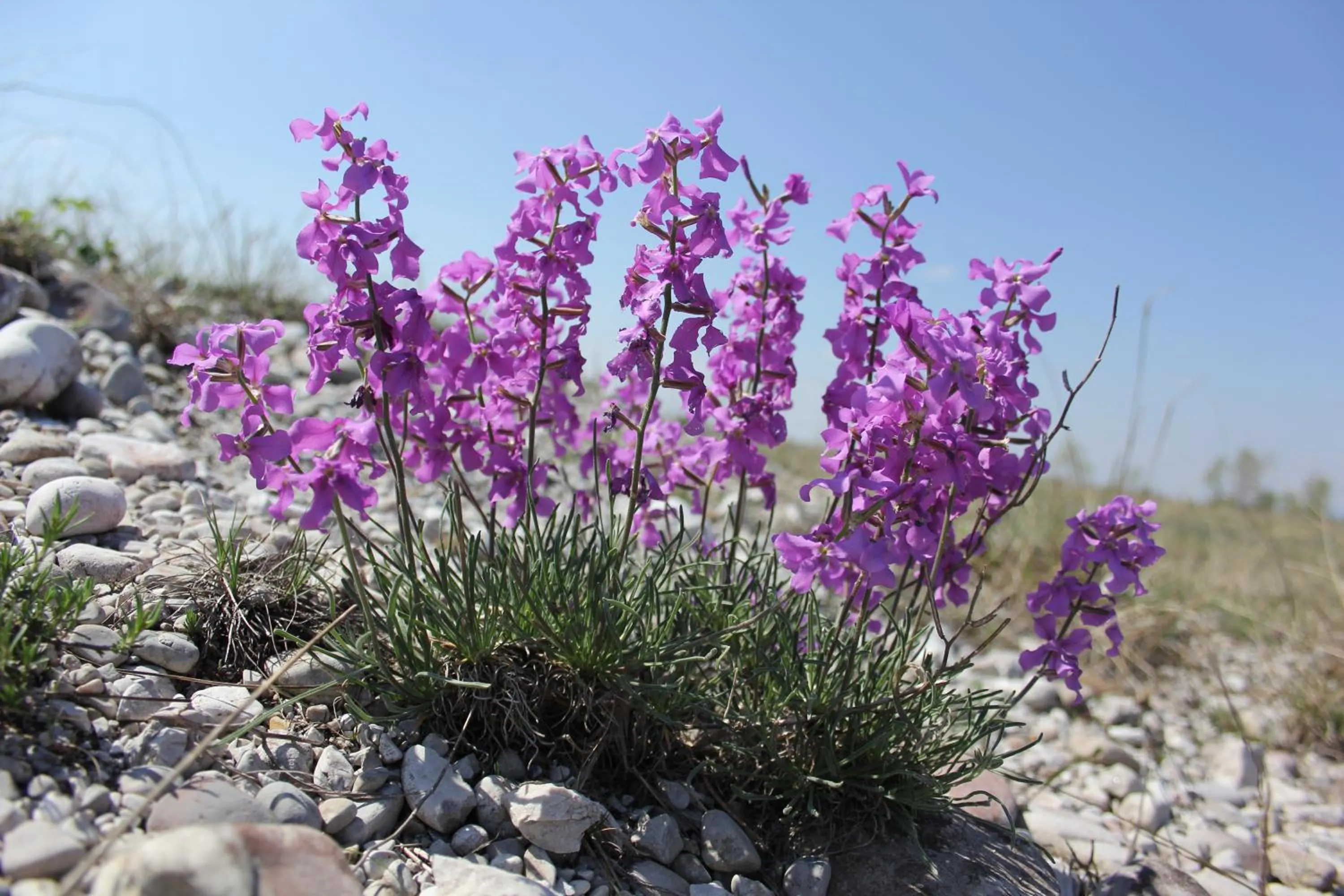 Albergo Diffuso Magredi