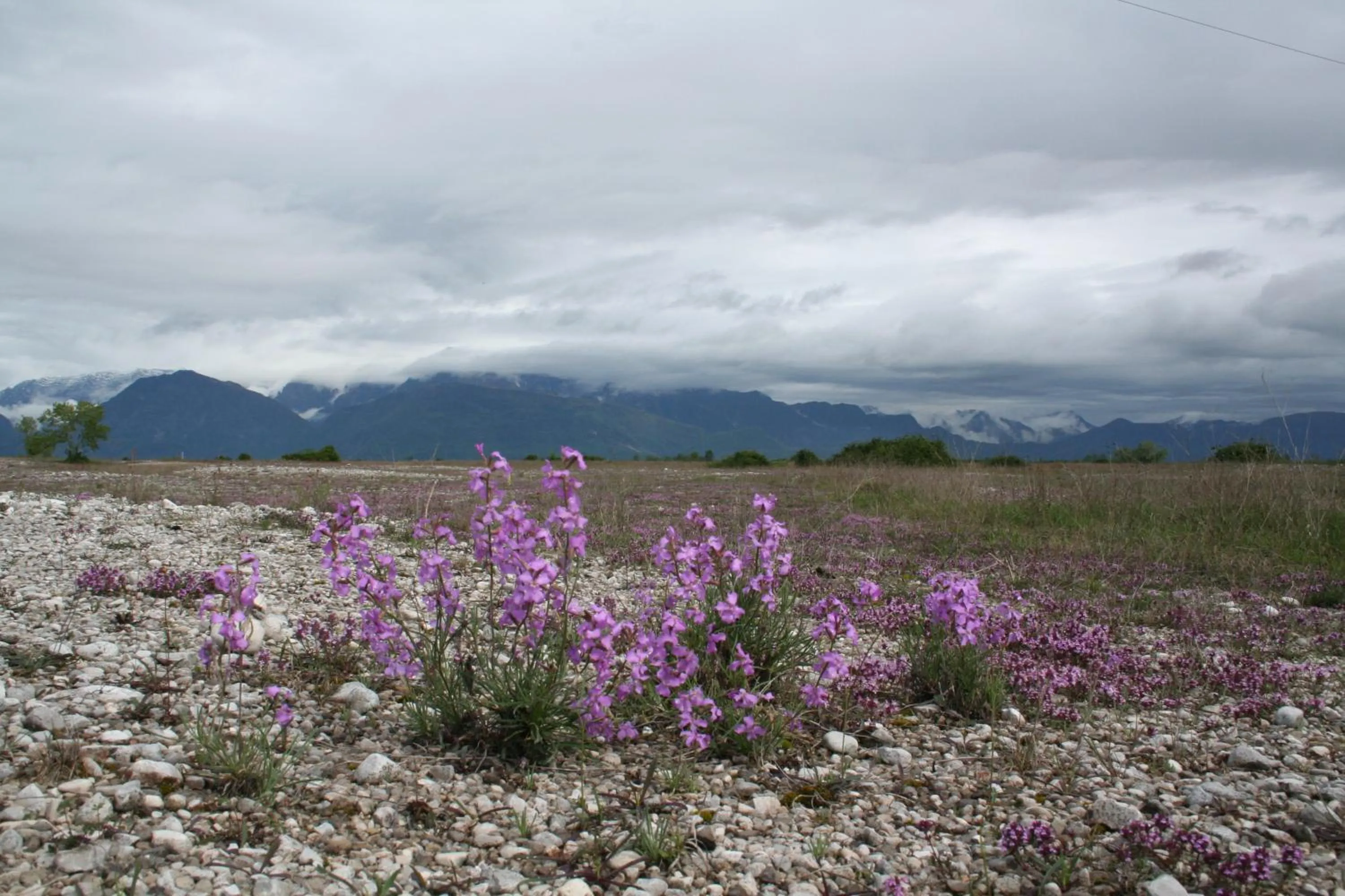 Other in Albergo Diffuso Magredi