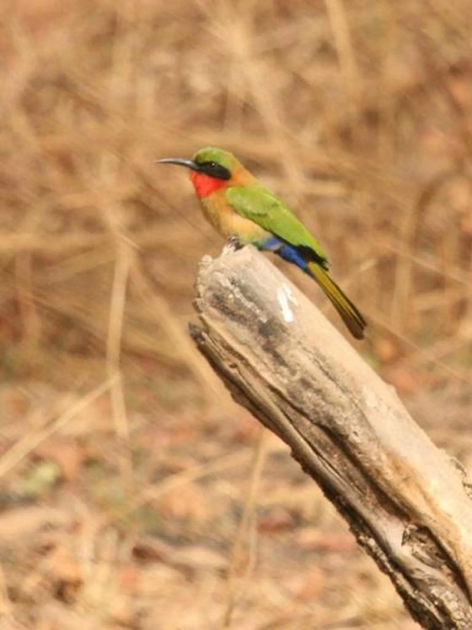 Hotel Germain - Ganvié Holiday Resort