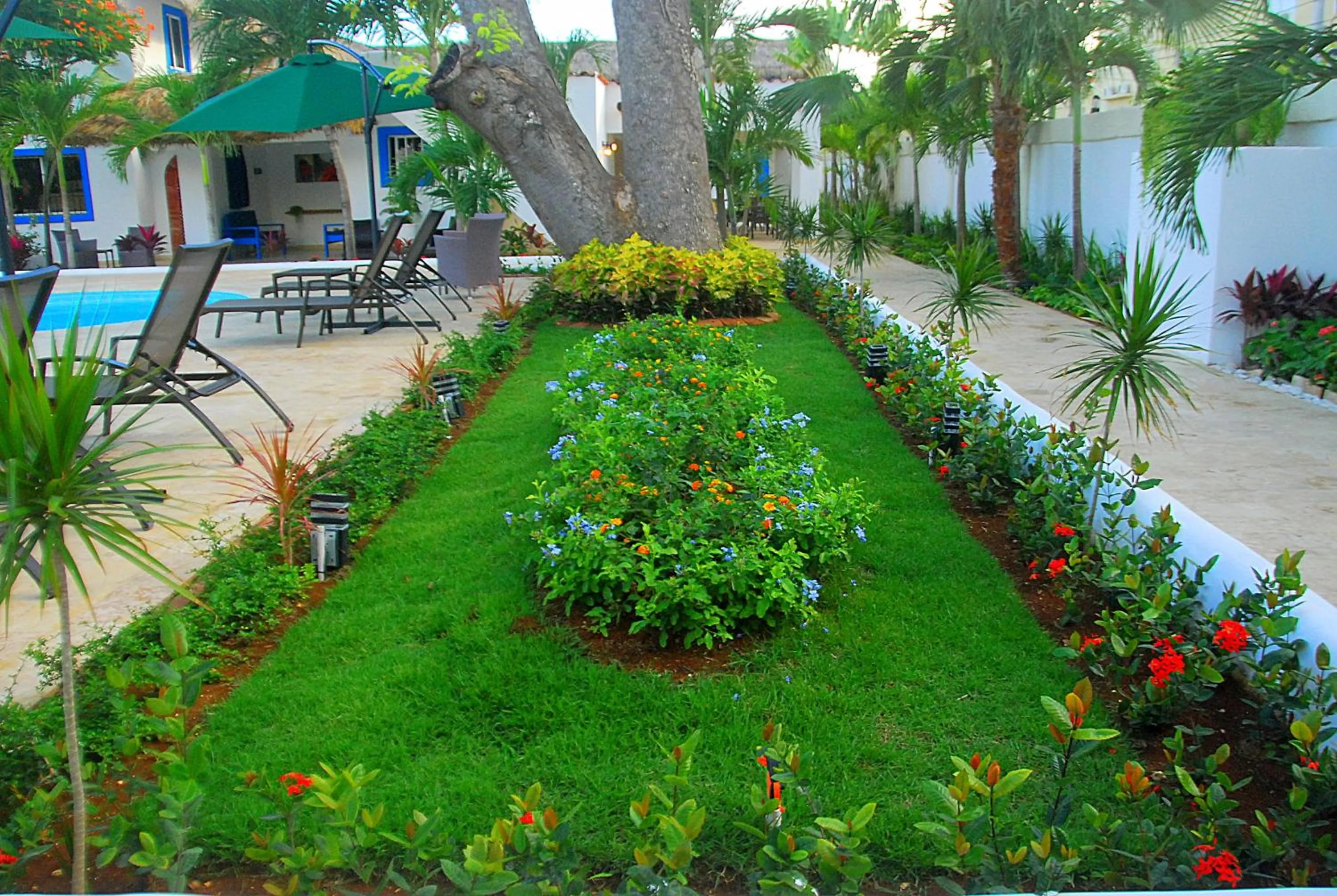 Garden view in Nuovo Hotel Playa Catalina