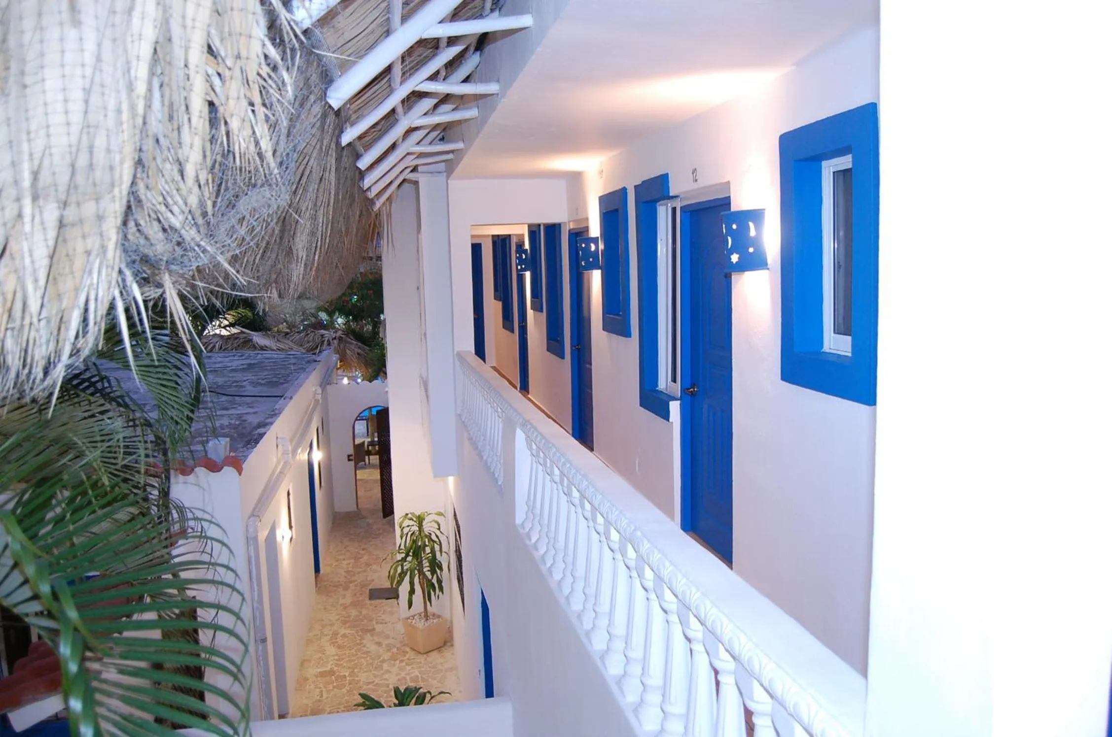 Other in Nuovo Hotel Playa Catalina