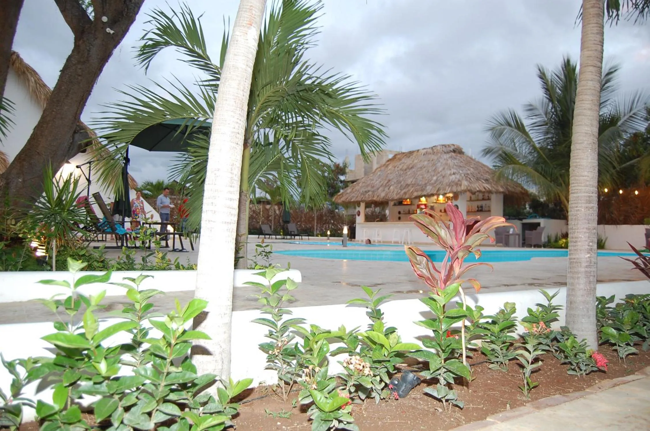 Swimming pool in Nuovo Hotel Playa Catalina