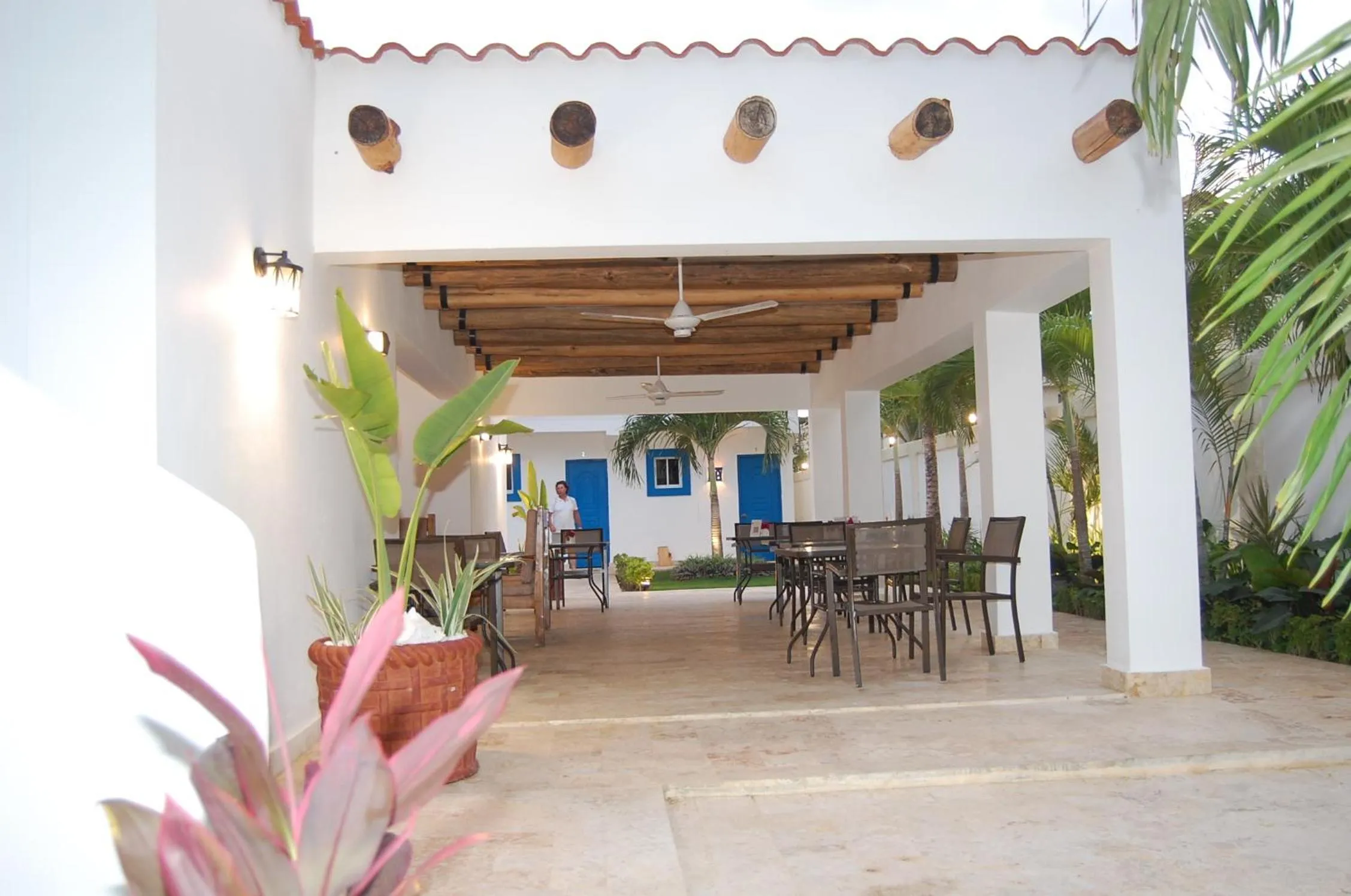 Bird's eye view in Nuovo Hotel Playa Catalina