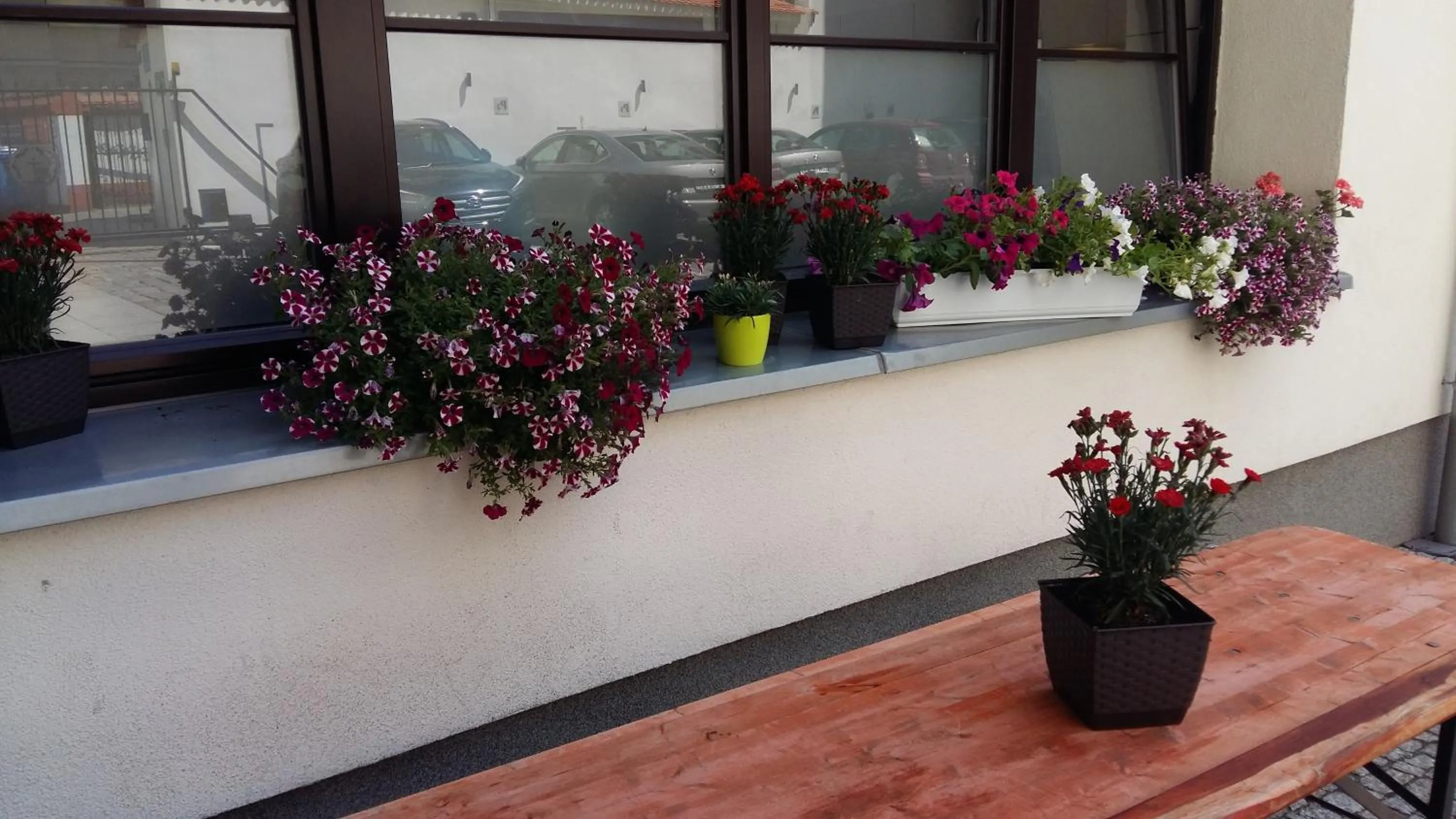 Patio in Kamienica Pod Aniołami