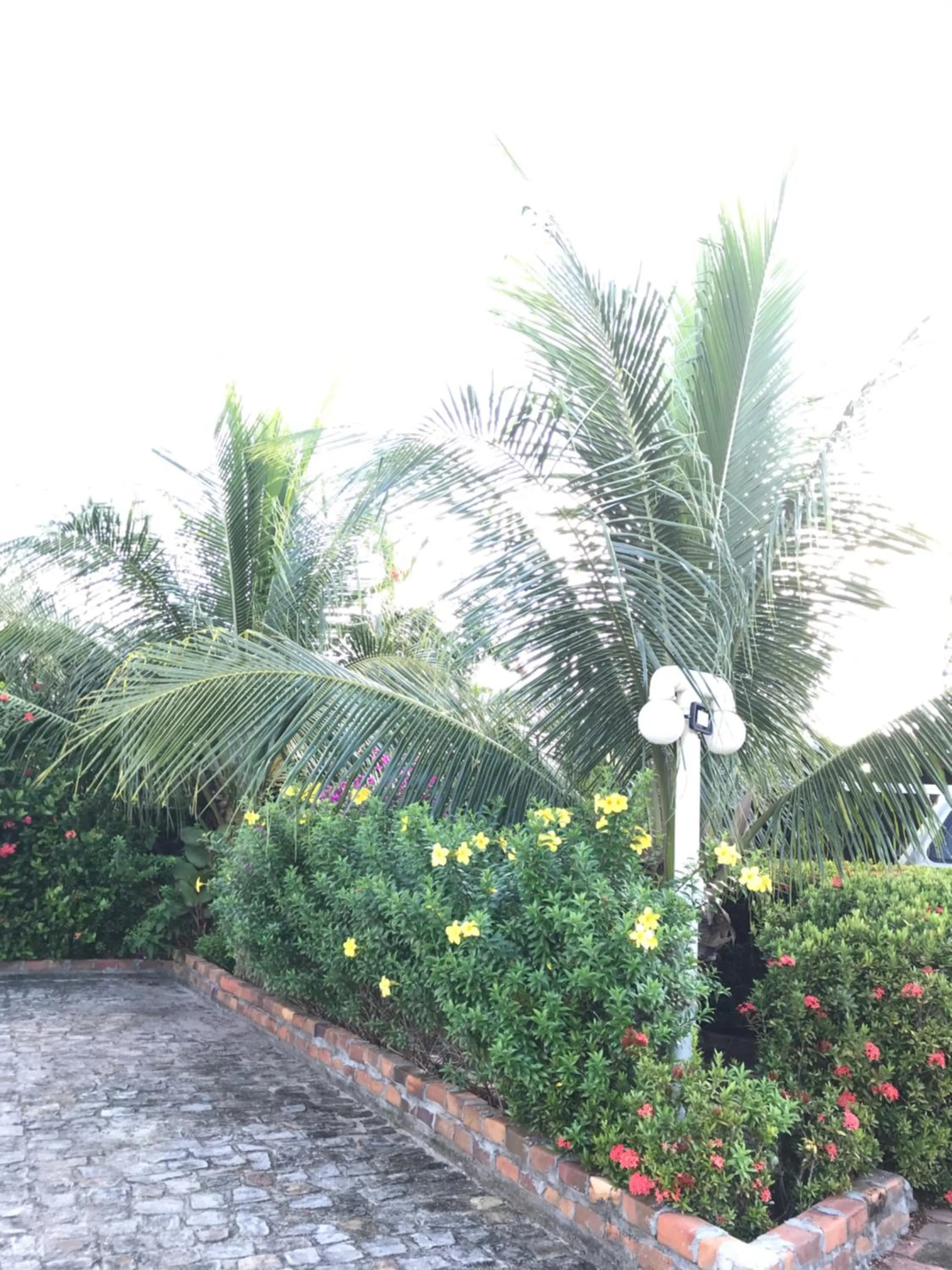Garden view in Chalé Temporada Porto dos Lençóis - Lençóis Maranhenses