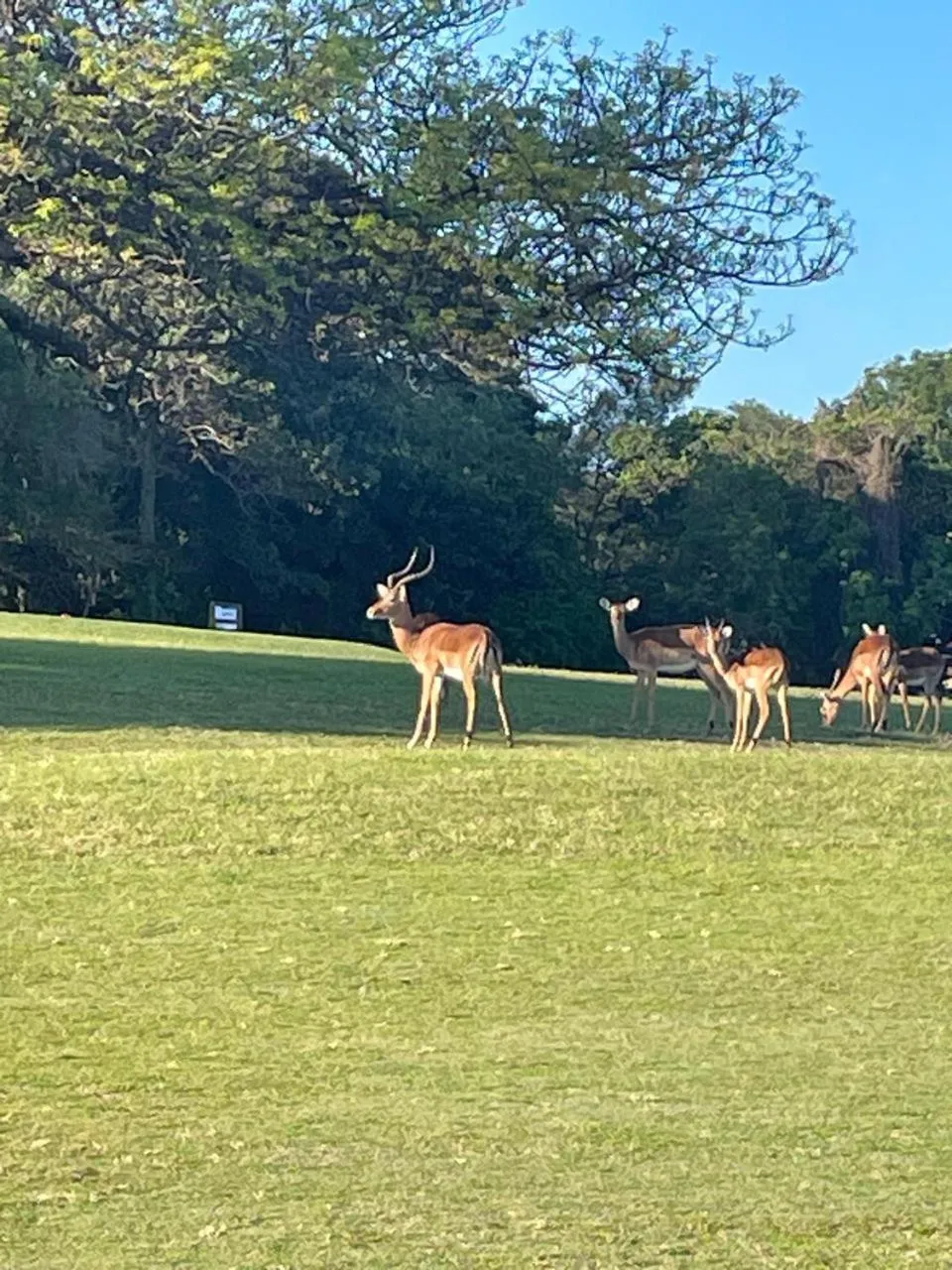 Natural landscape in Hillton Manor Guest House
