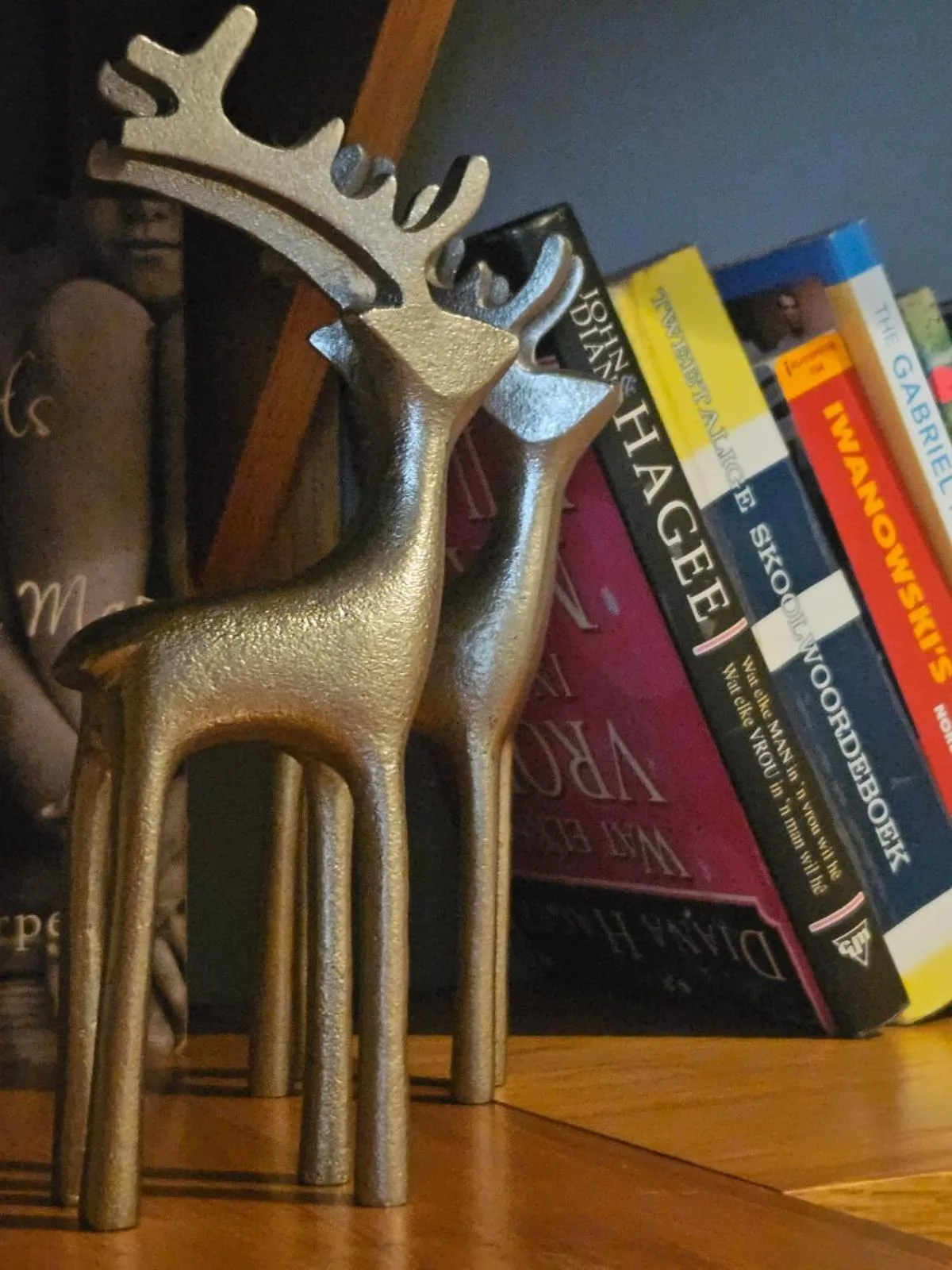 Library in Hillton Manor Guest House