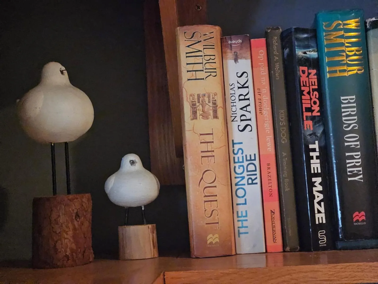 Library in Hillton Manor Guest House