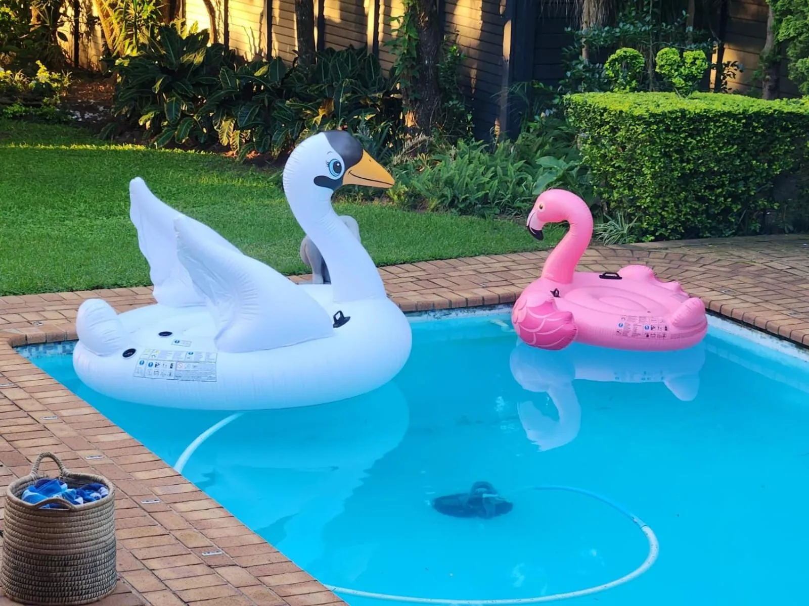 Swimming pool in Hillton Manor Guest House