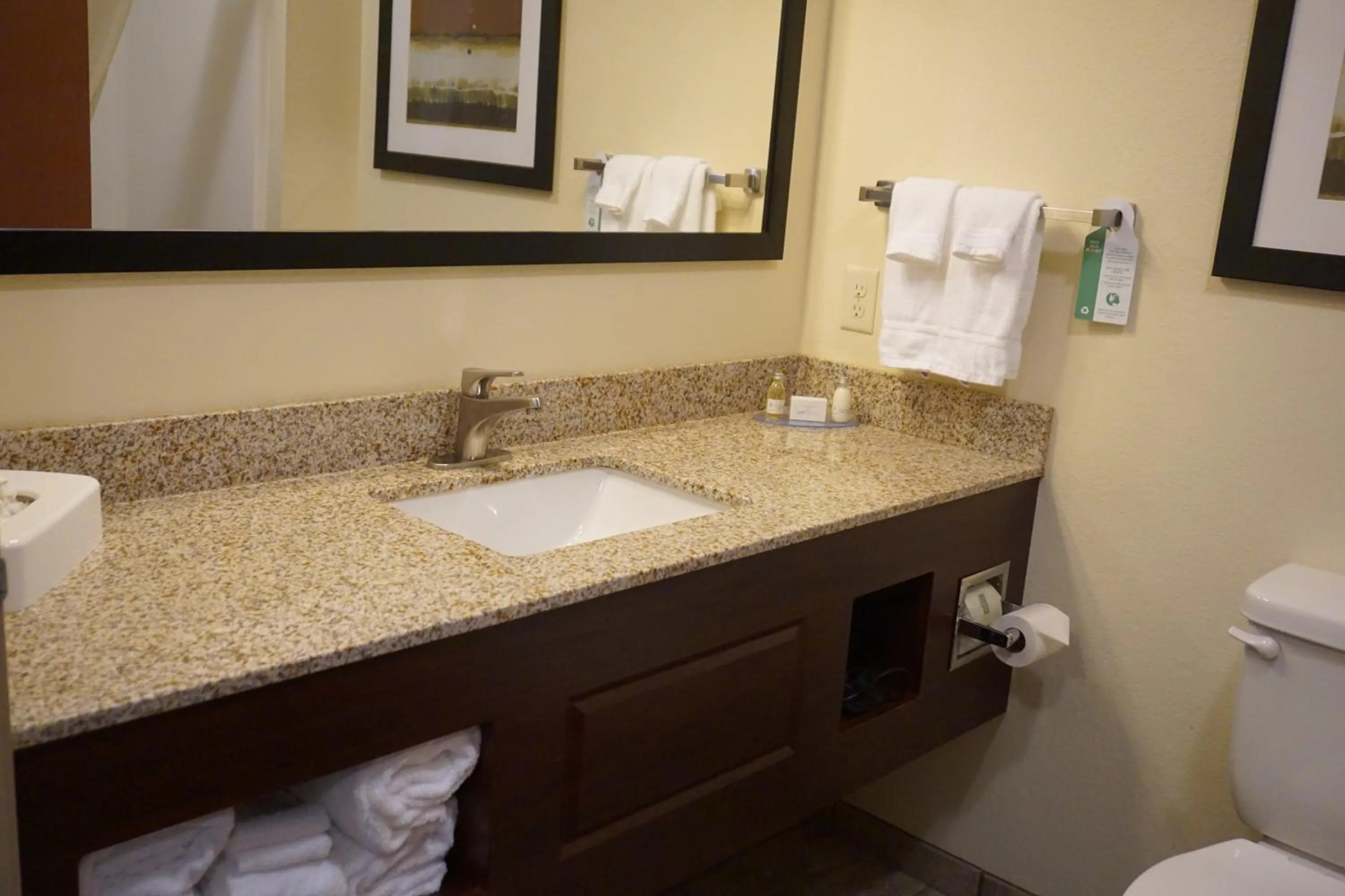 Bathroom in Cobblestone Hotel & Suites - Chippewa Falls