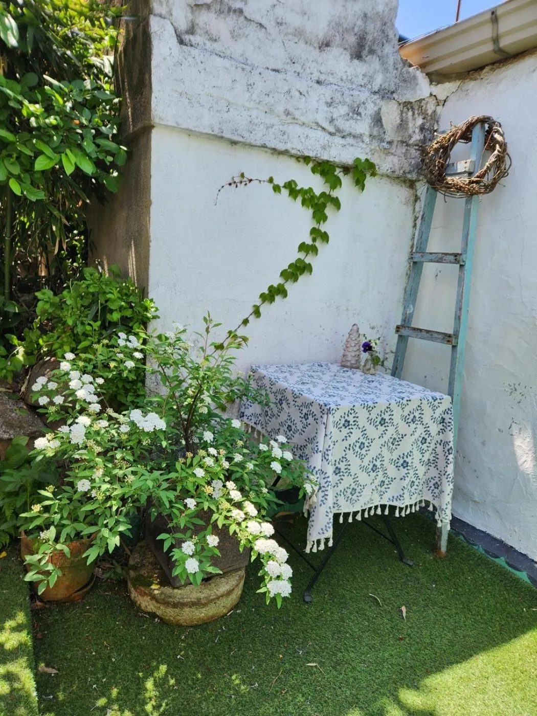 Spring in Sungsim Hanok Guesthouse