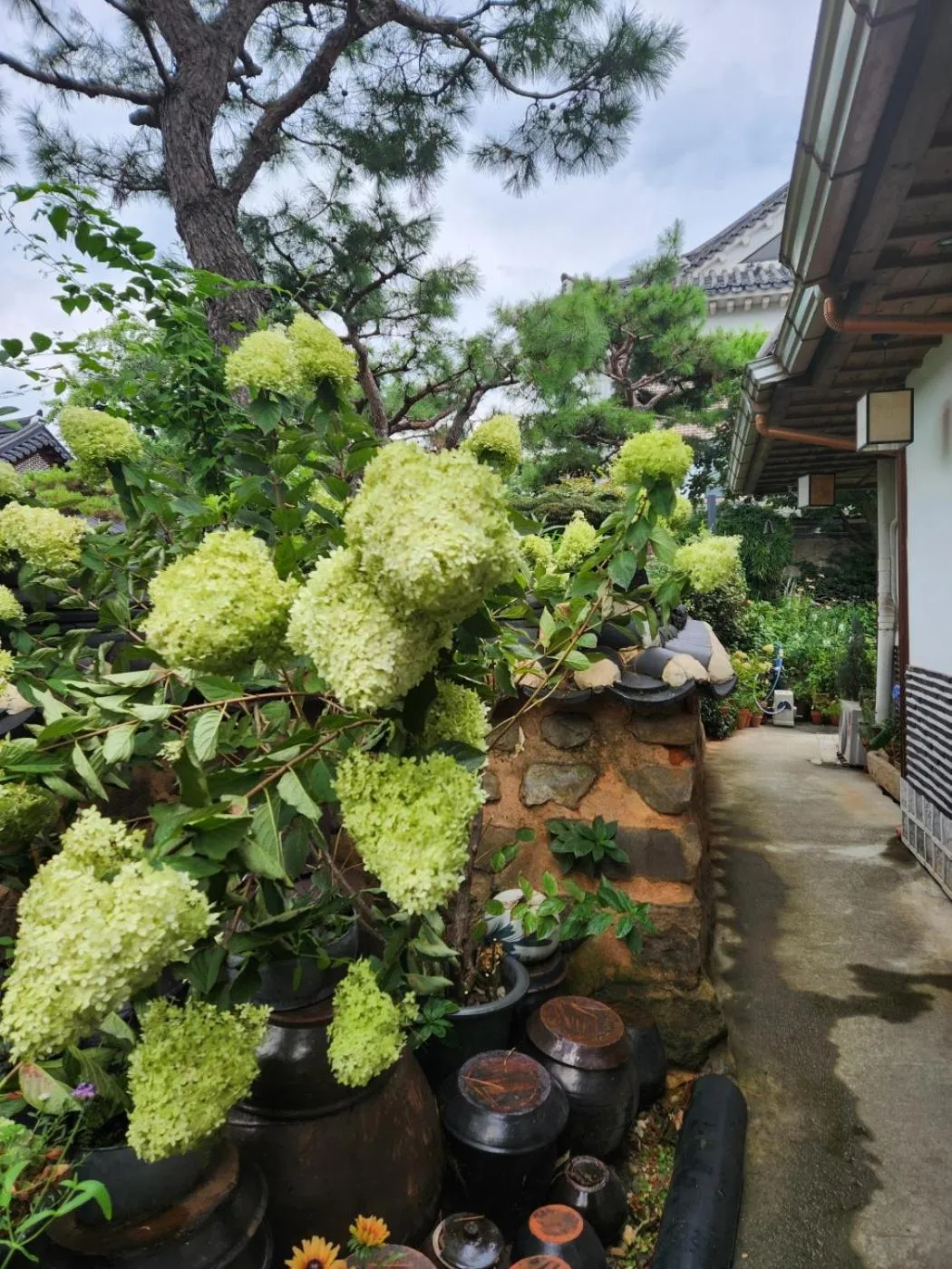Property building in Sungsim Hanok Guesthouse