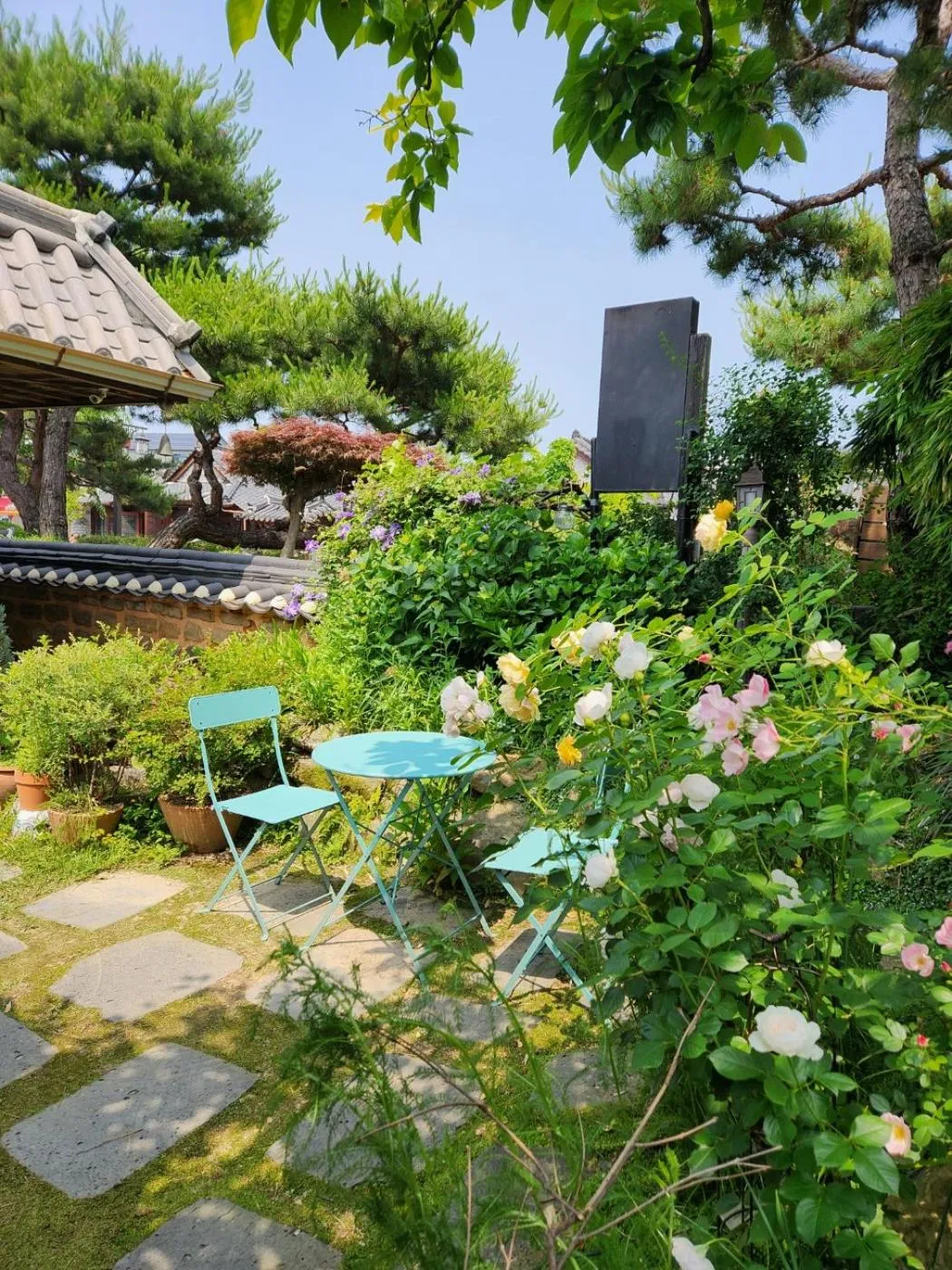 Spring in Sungsim Hanok Guesthouse
