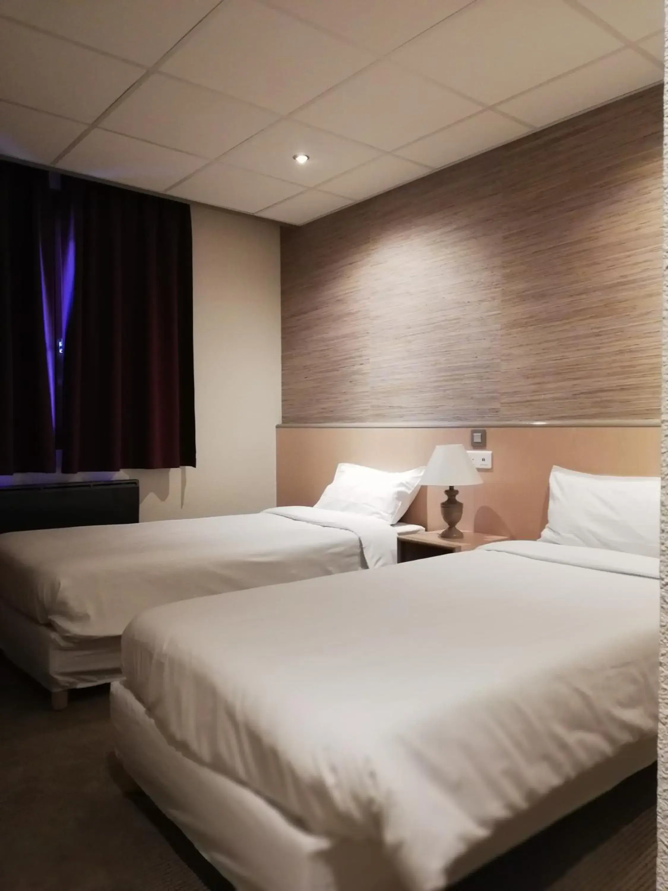 Superior Twin Room in Hôtel Le Savoie Superior Twin Room in Hôtel Le Savoie