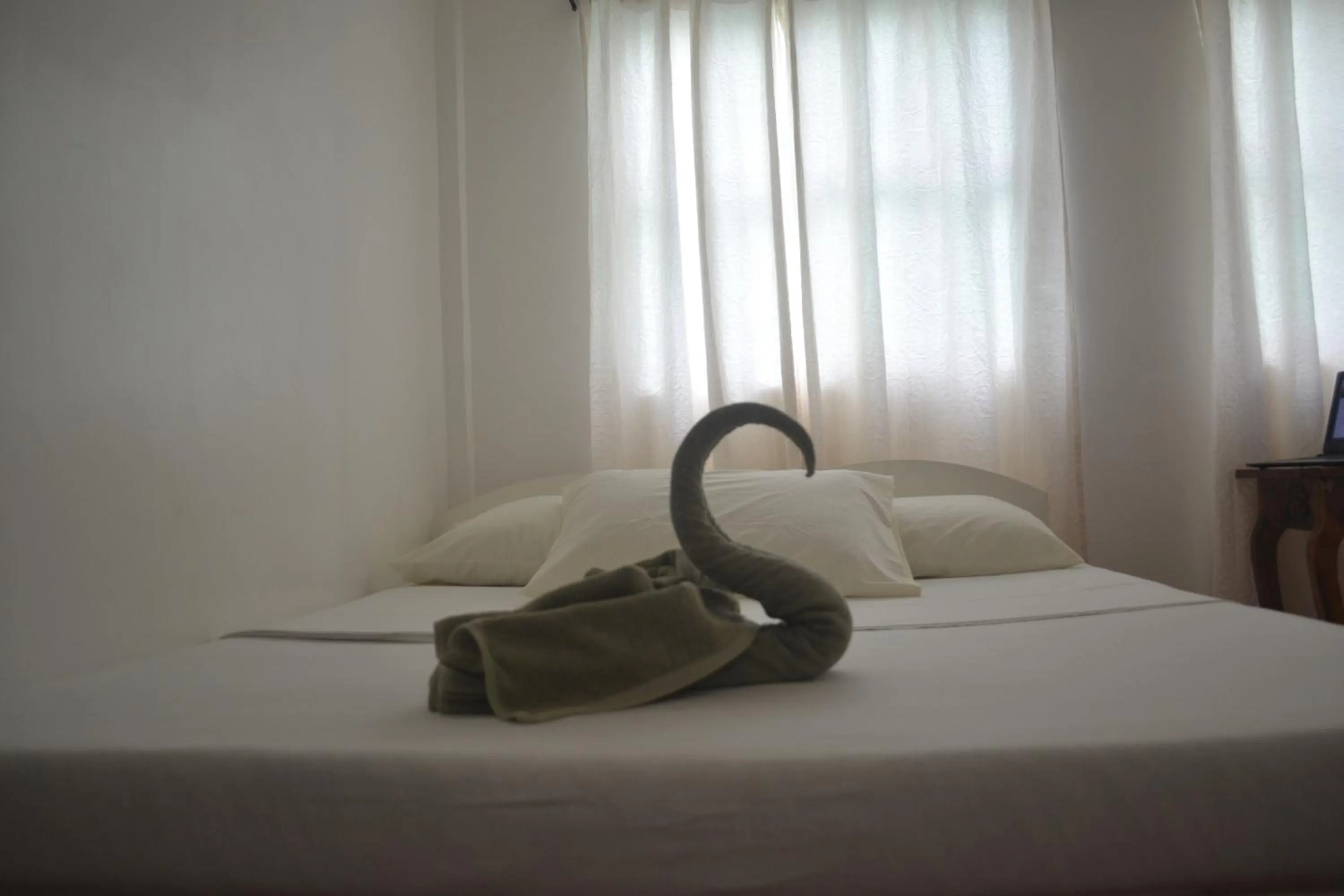 Bed in Marnin's Place