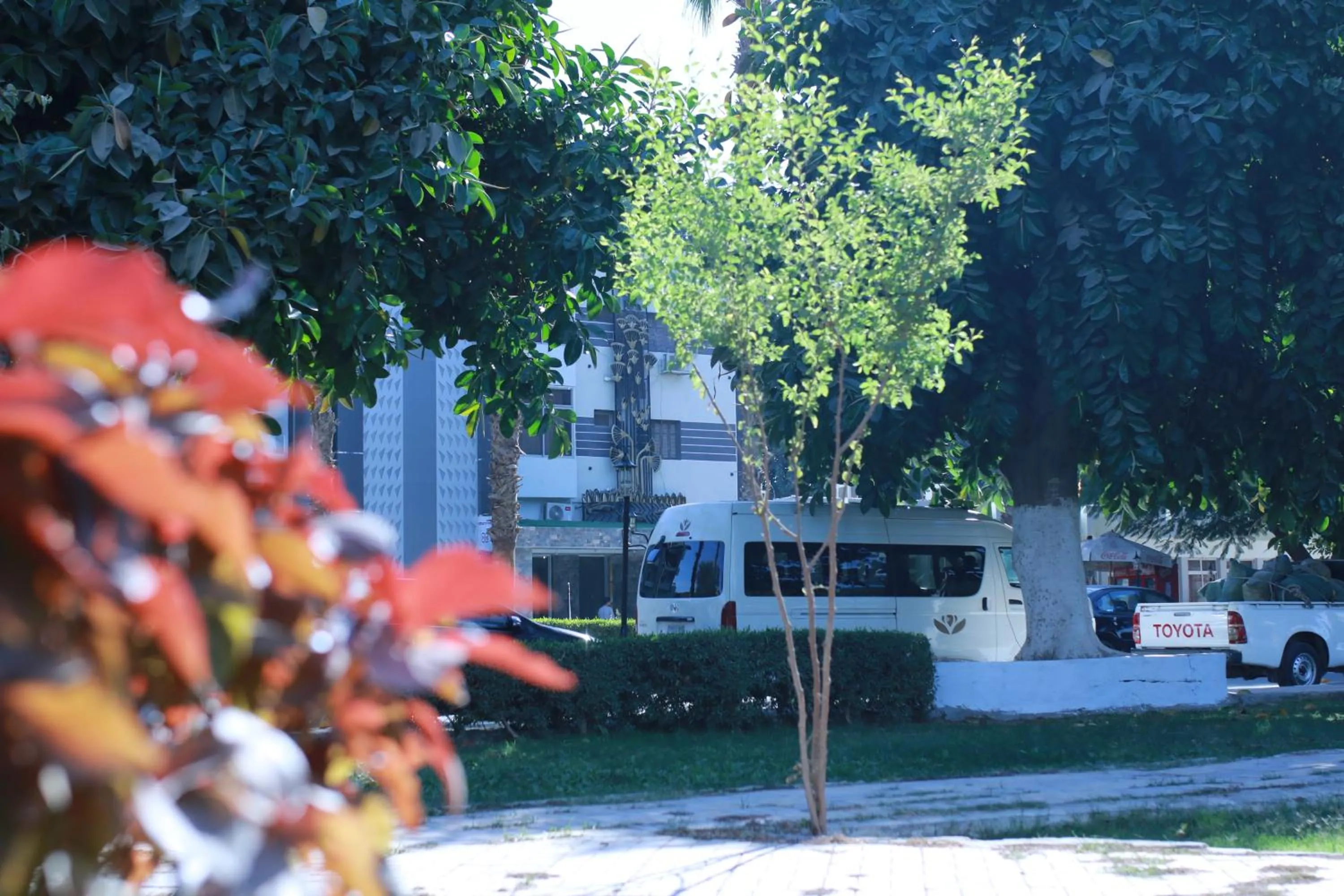 Garden in Jewel Assiut Hotel