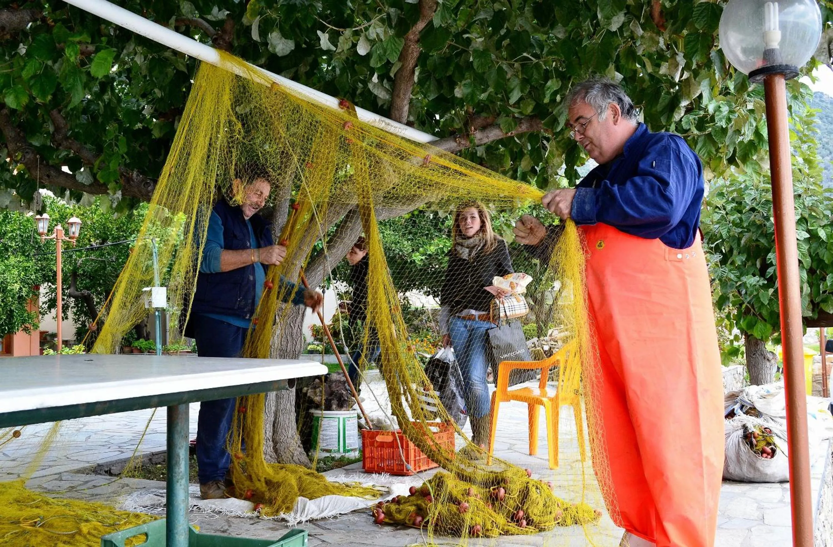 Staff in Pharos Rooms