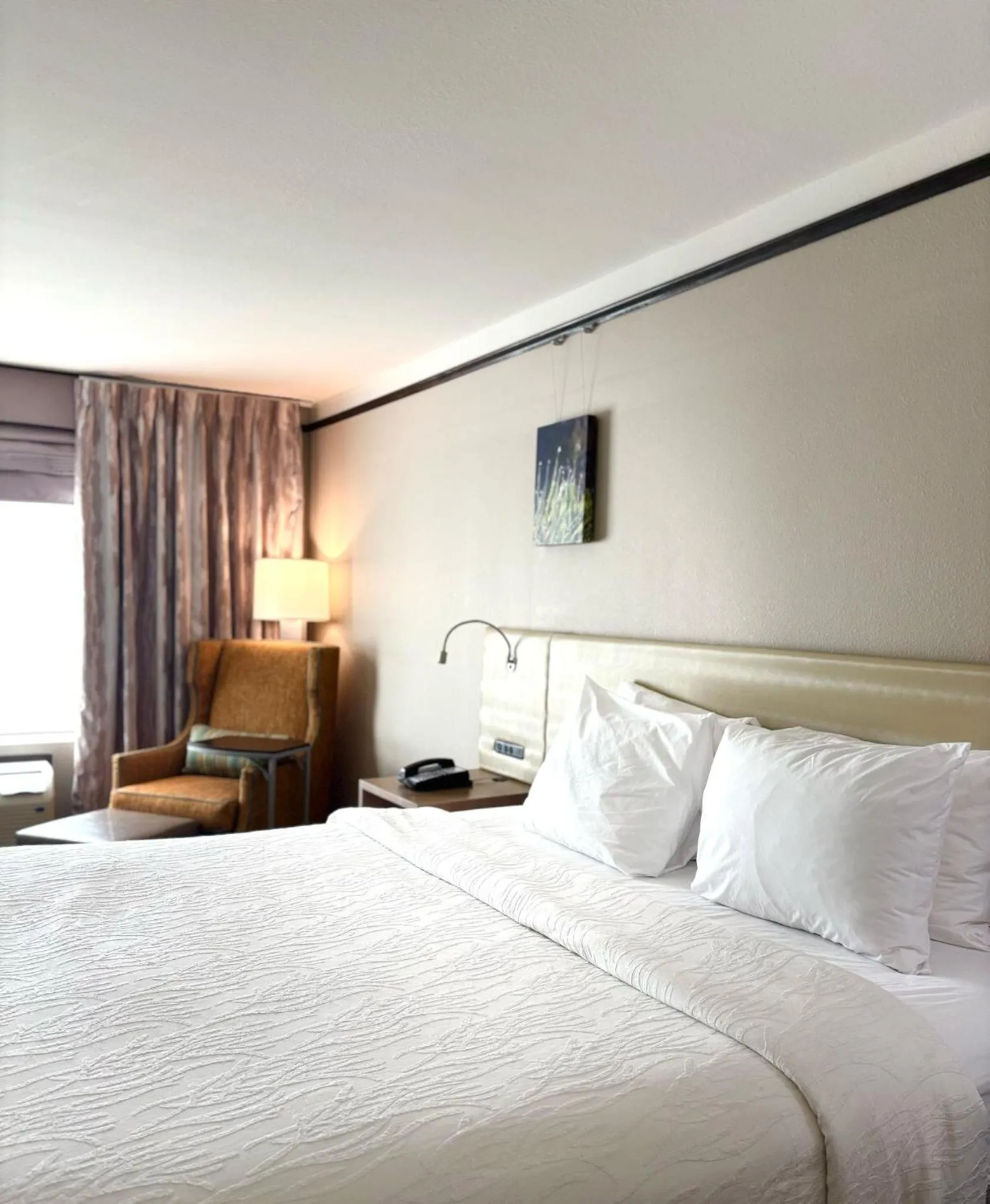 Bed in Kozy Hotel Houston North