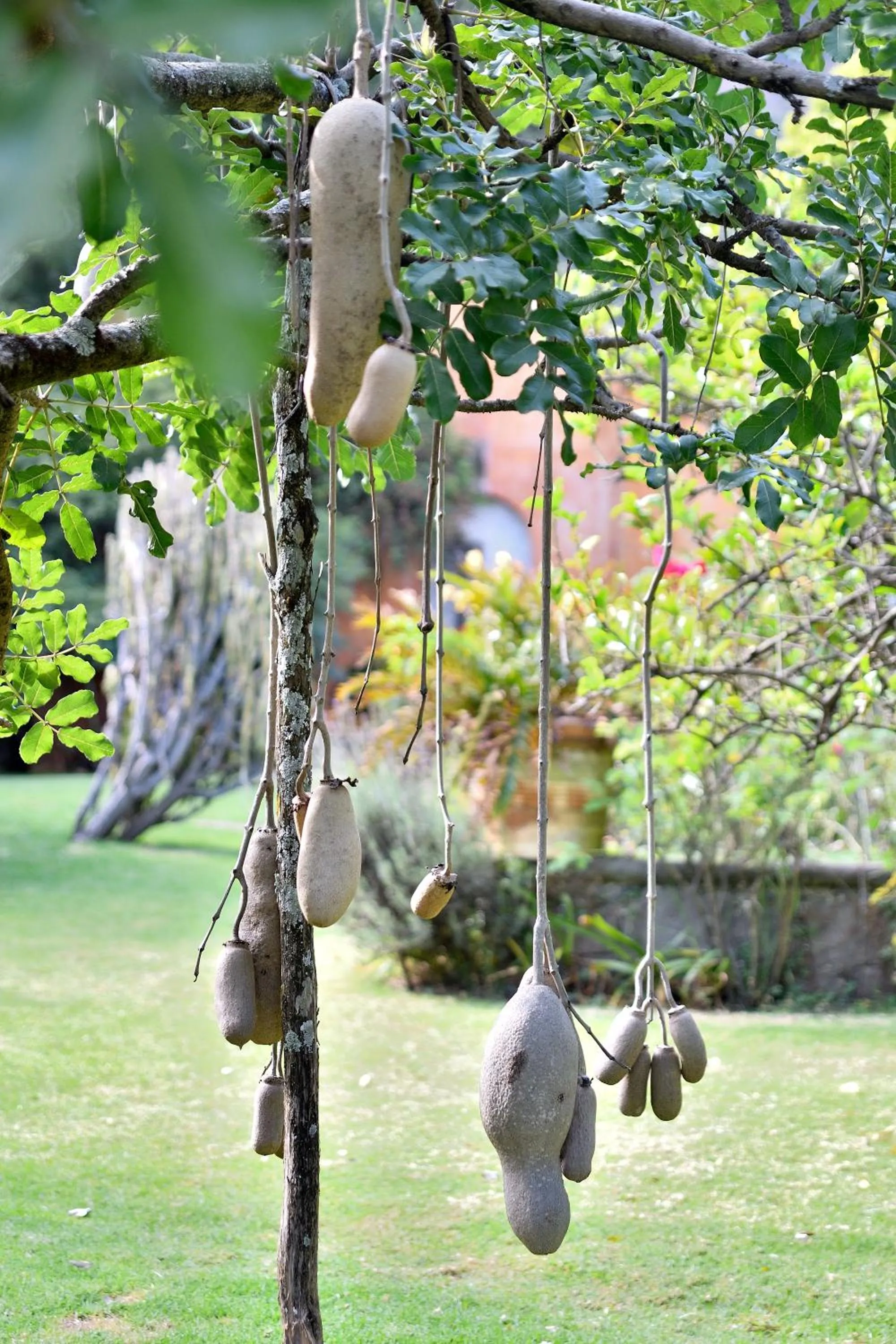 Quinta Cielo - Hotel Boutique y Restaurante