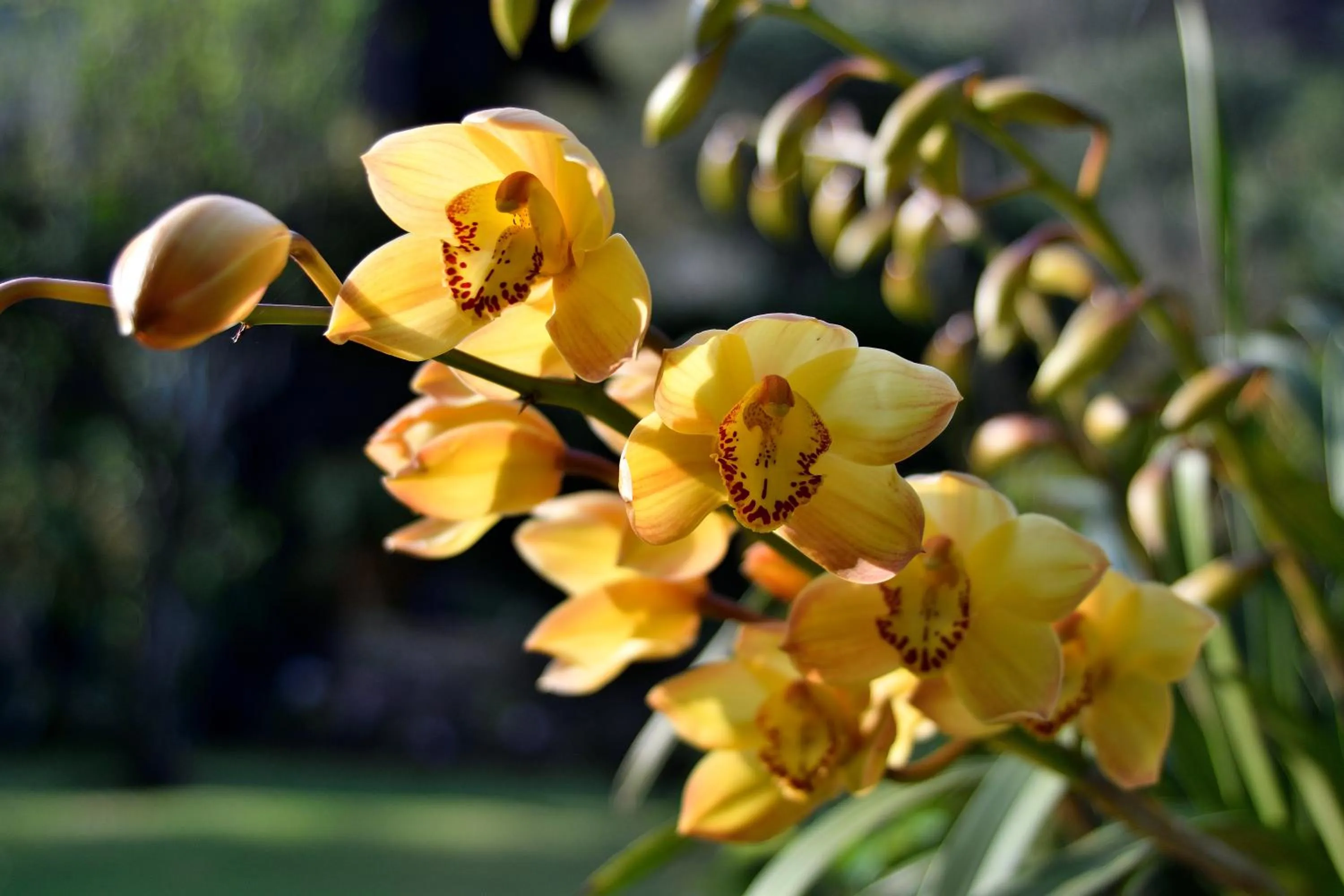 Quinta Cielo - Hotel Boutique y Restaurante