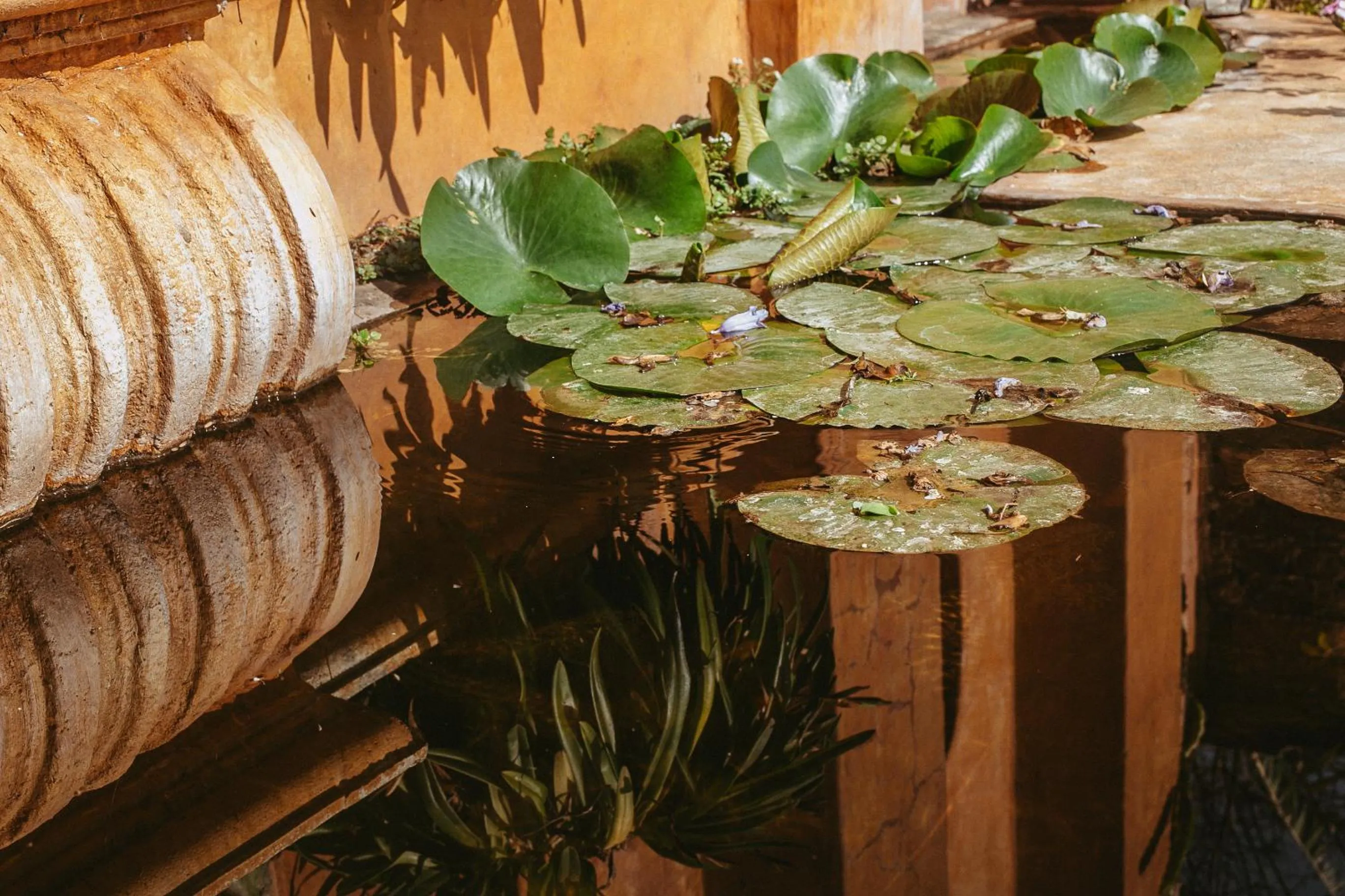 Quinta Cielo - Hotel Boutique y Restaurante