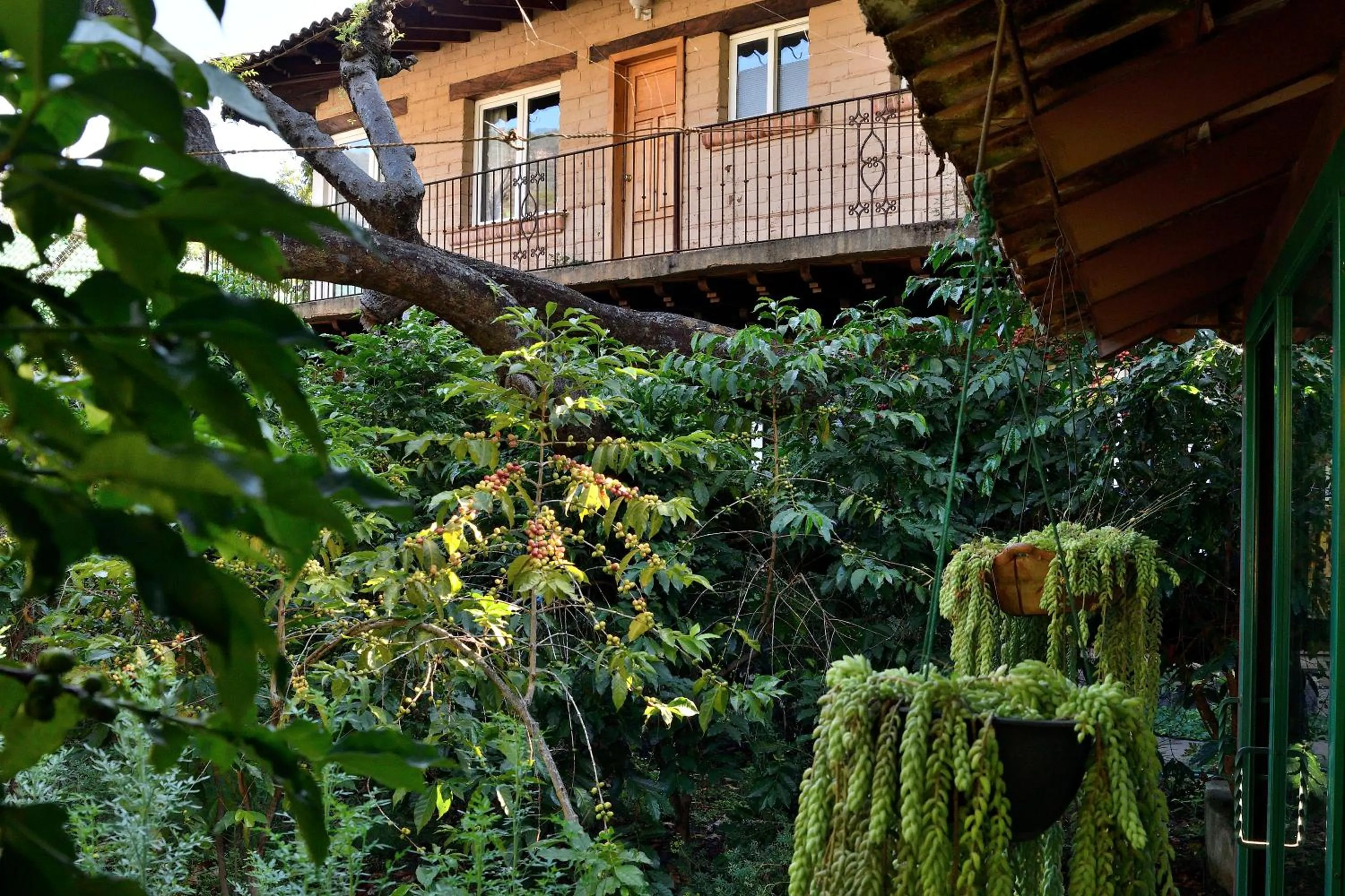 Quinta Cielo - Hotel Boutique y Restaurante