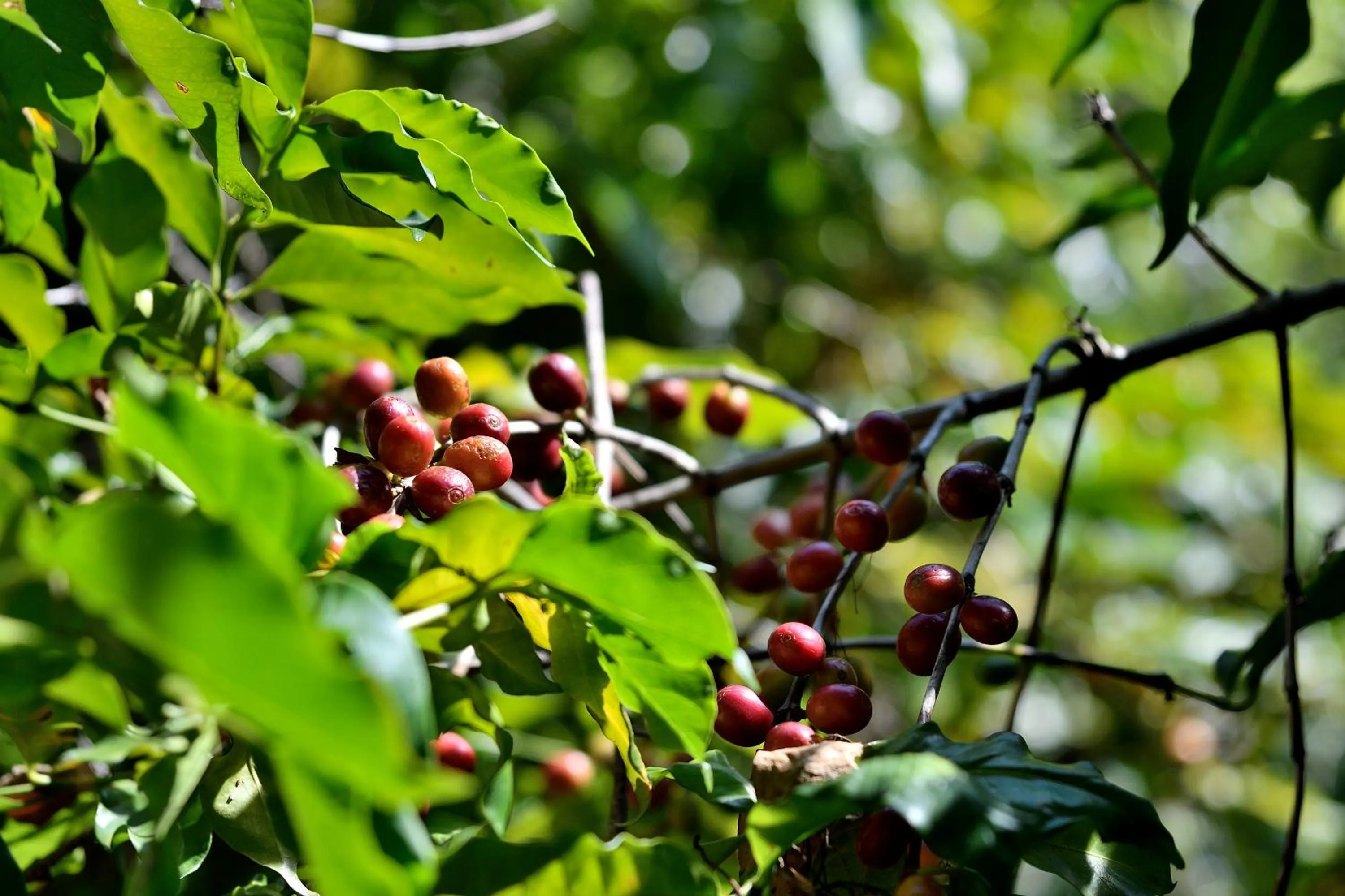 Quinta Cielo - Hotel Boutique y Restaurante