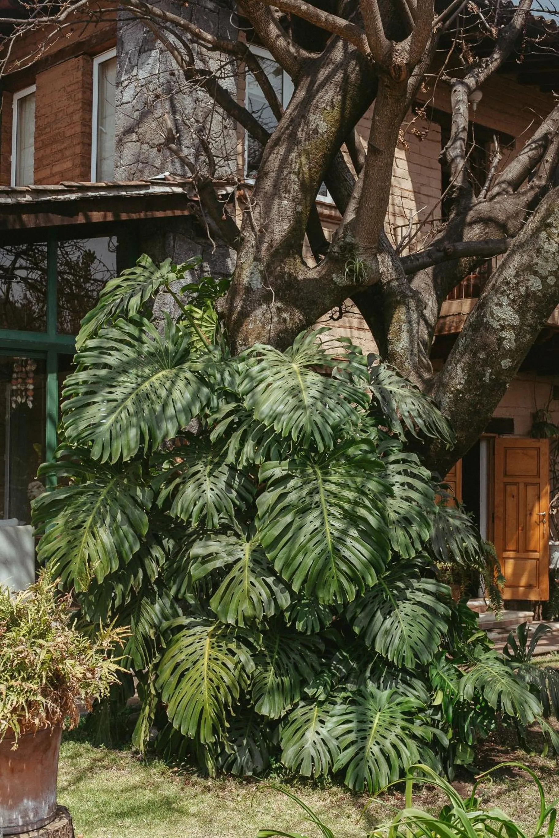 Quinta Cielo - Hotel Boutique y Restaurante