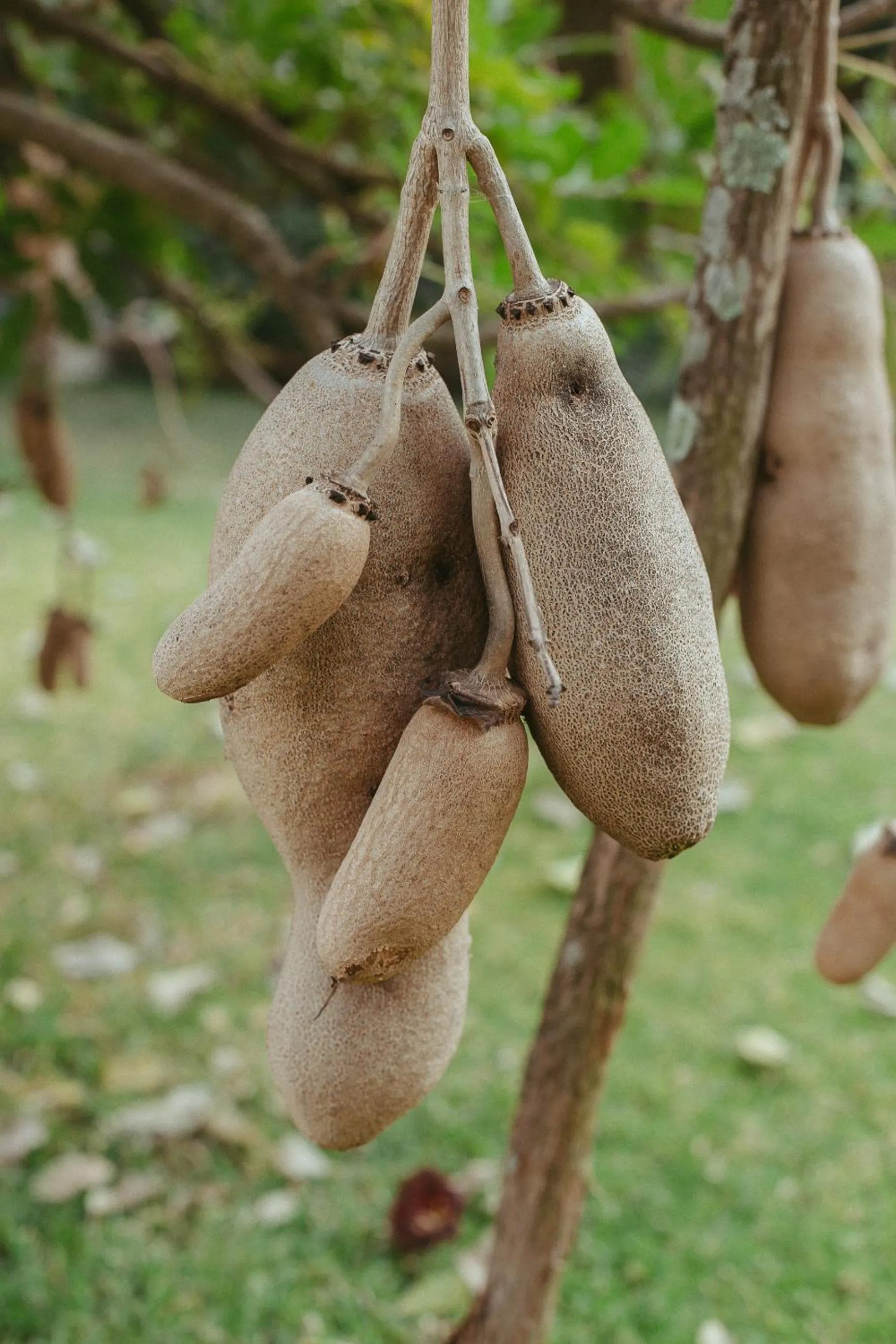 Quinta Cielo - Hotel Boutique y Restaurante