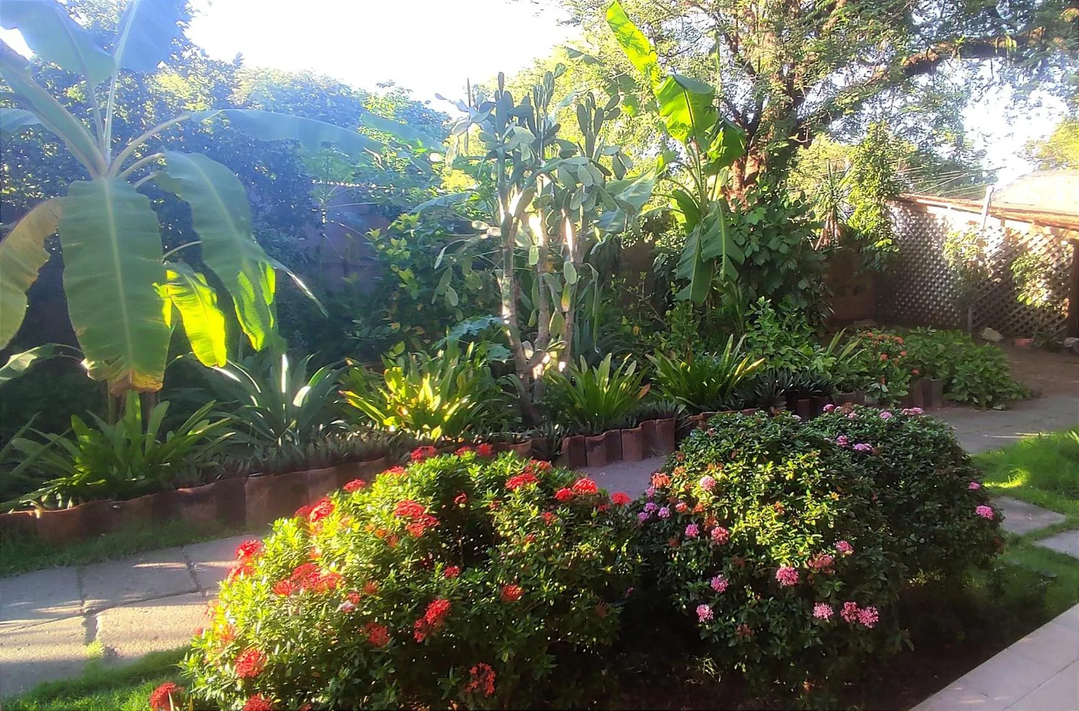 Garden view in El Belga Loco