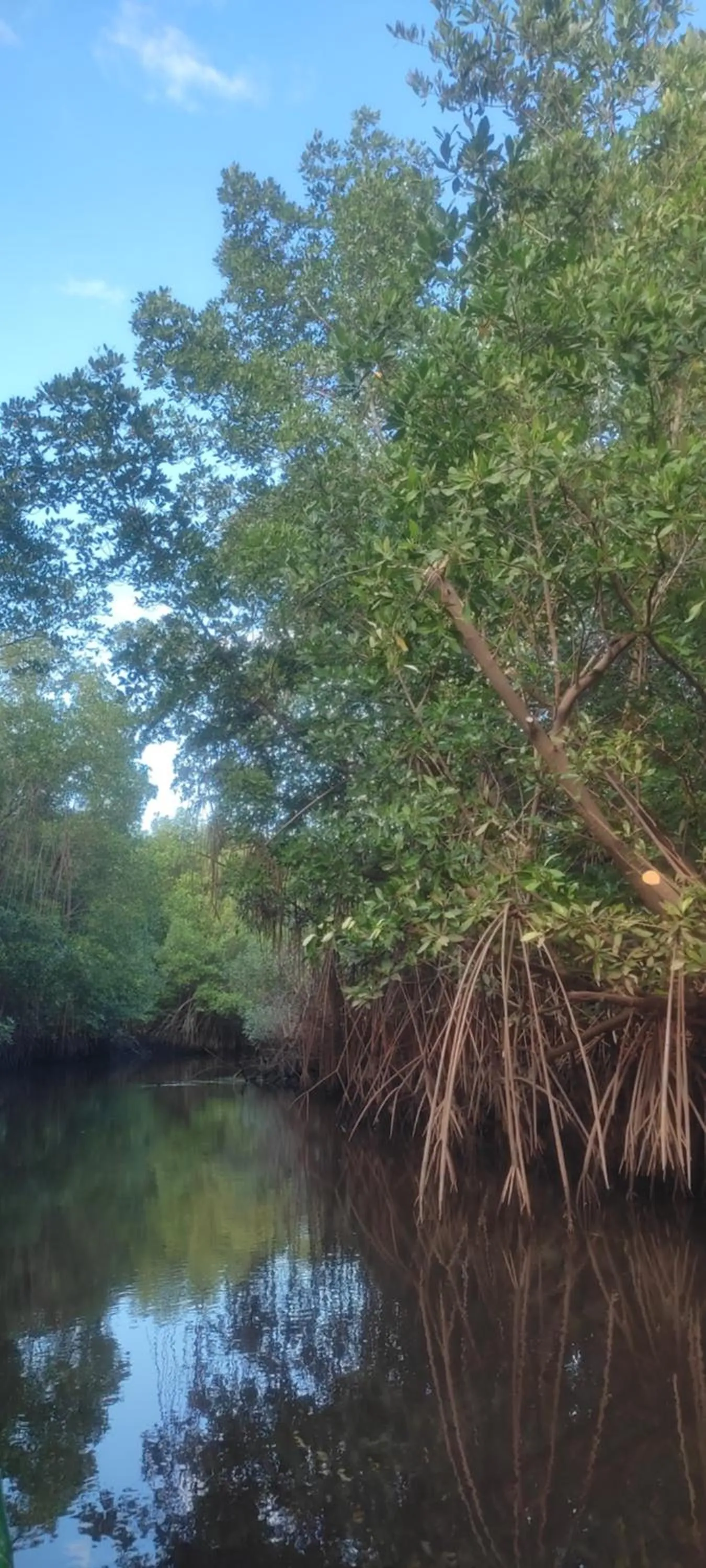 Natural landscape in El Belga Loco