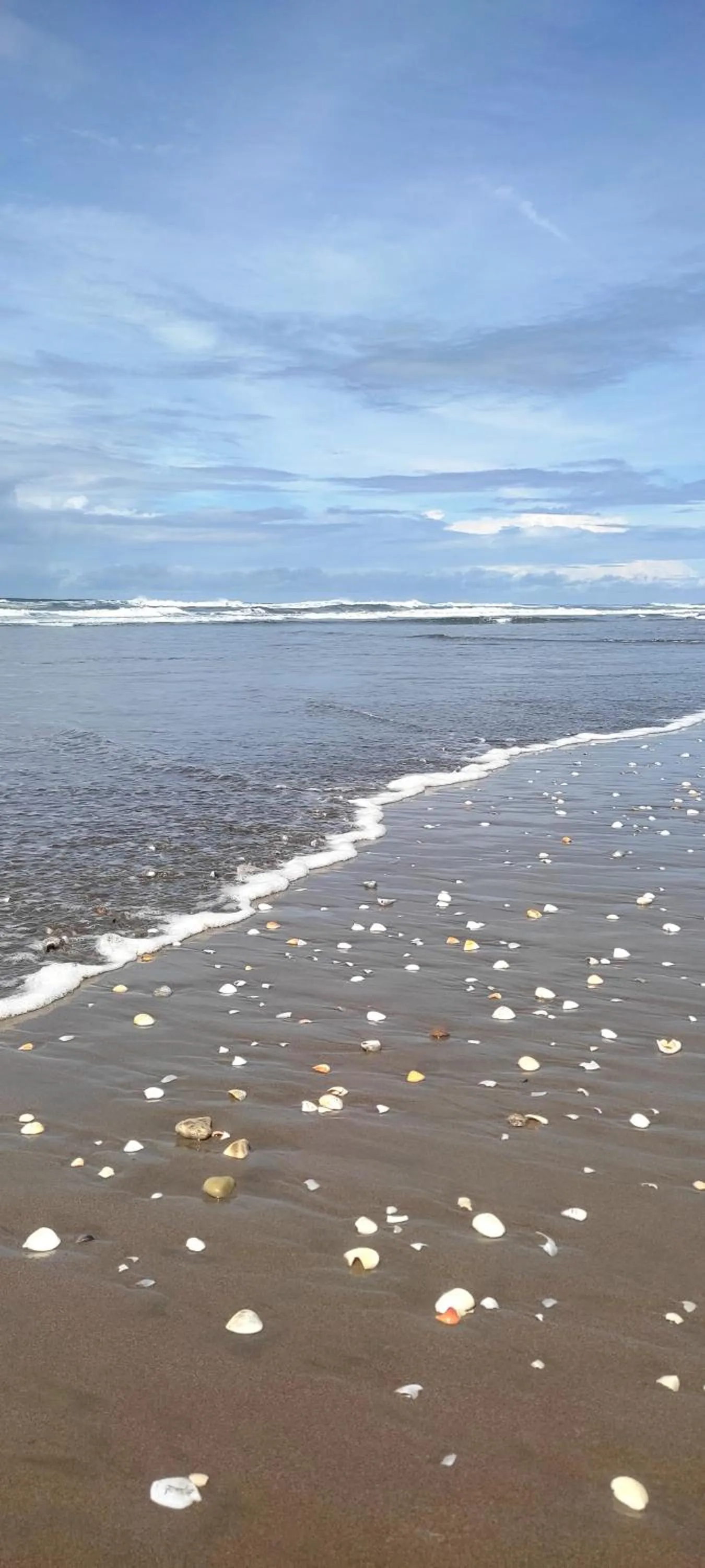 Natural landscape in El Belga Loco