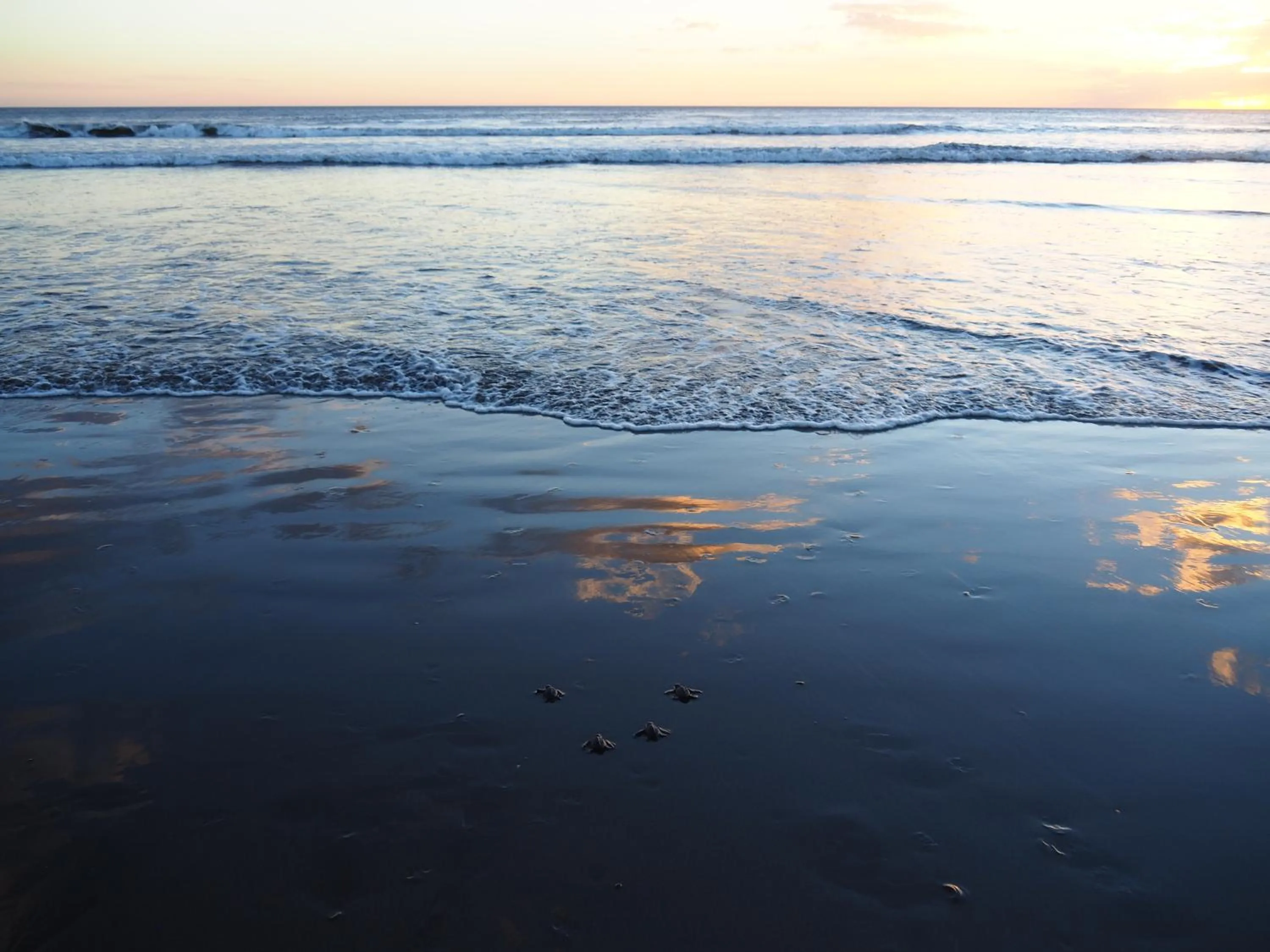 Activities in El Belga Loco