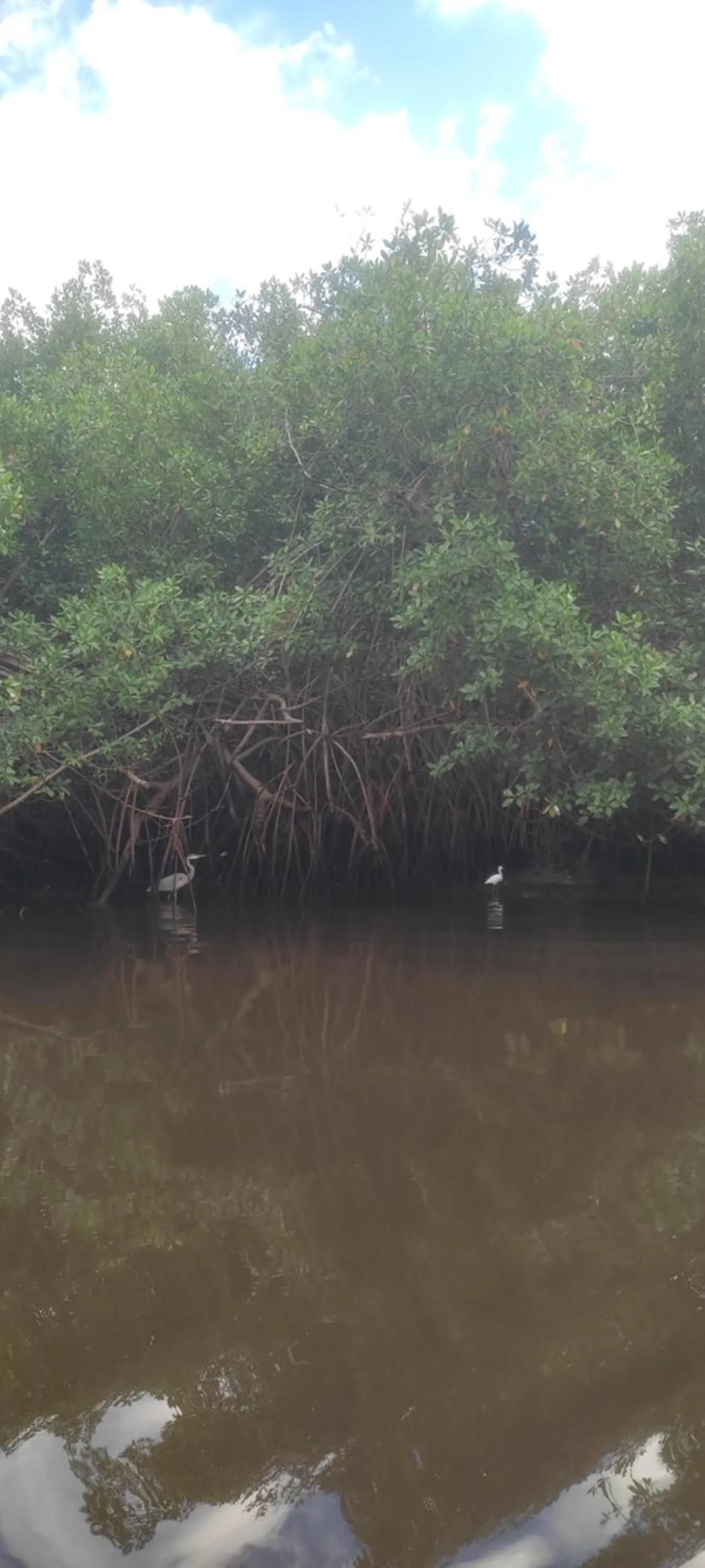 Natural landscape in El Belga Loco
