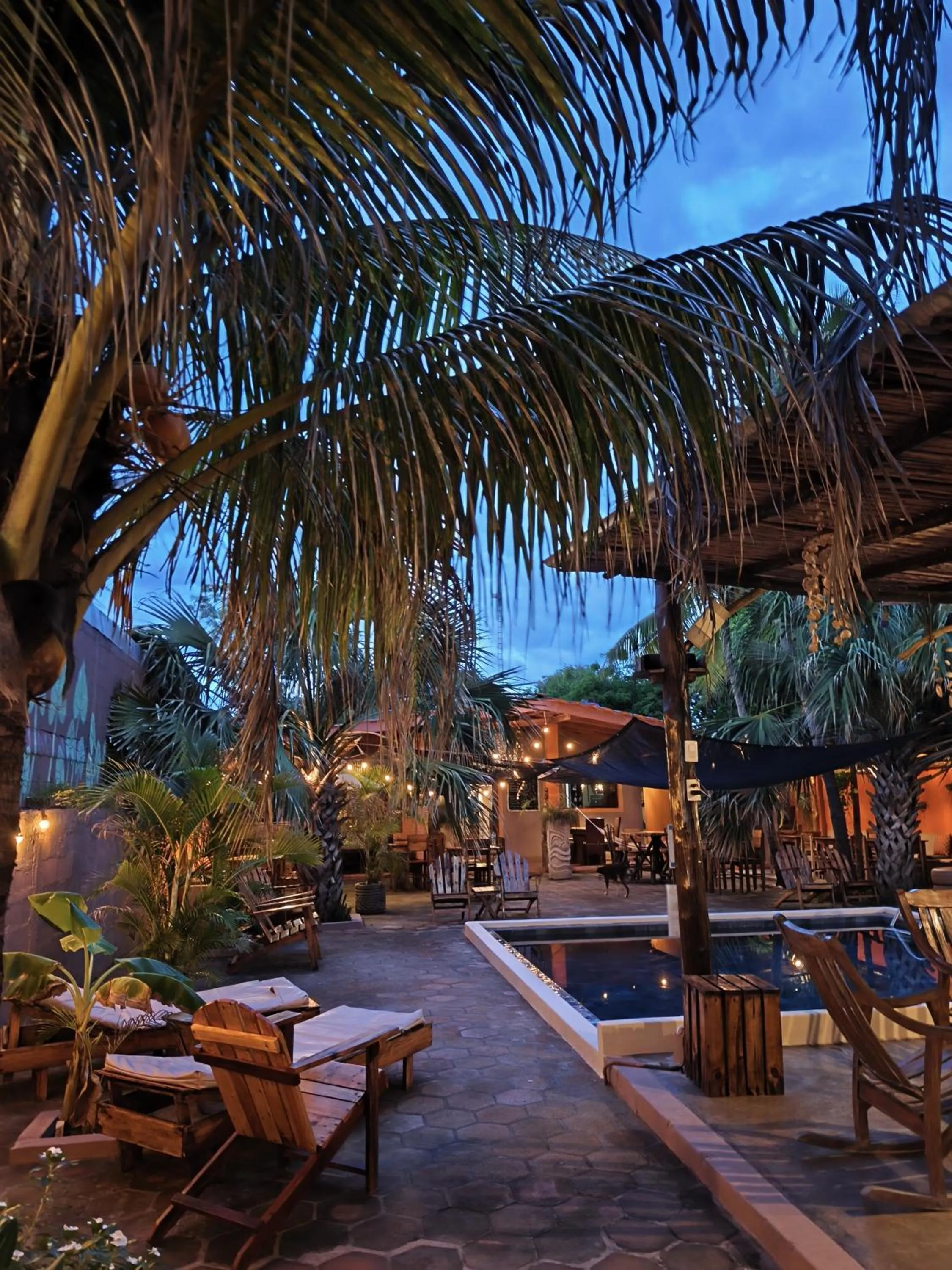 Pool view in El Belga Loco