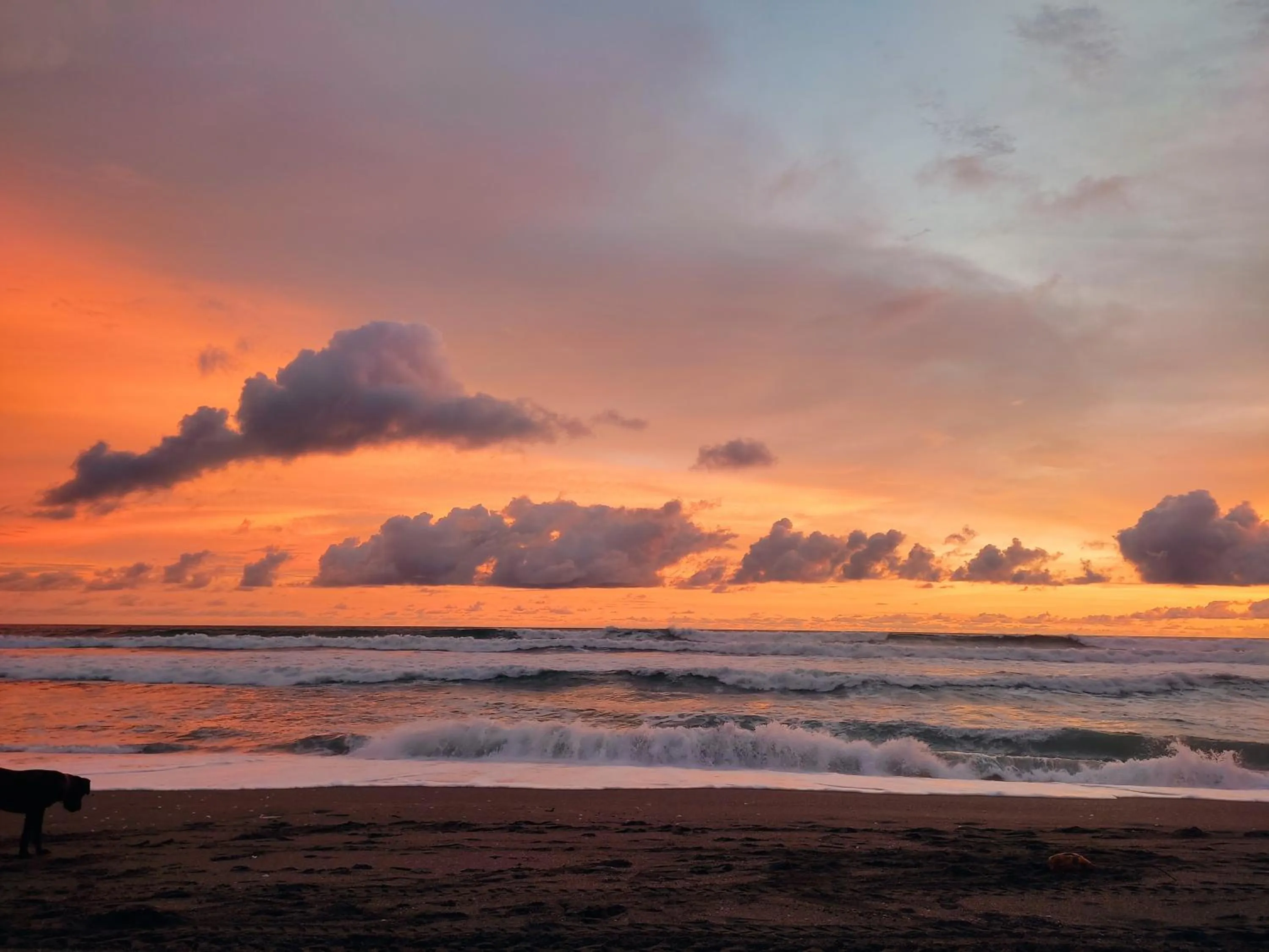 Natural landscape in El Belga Loco