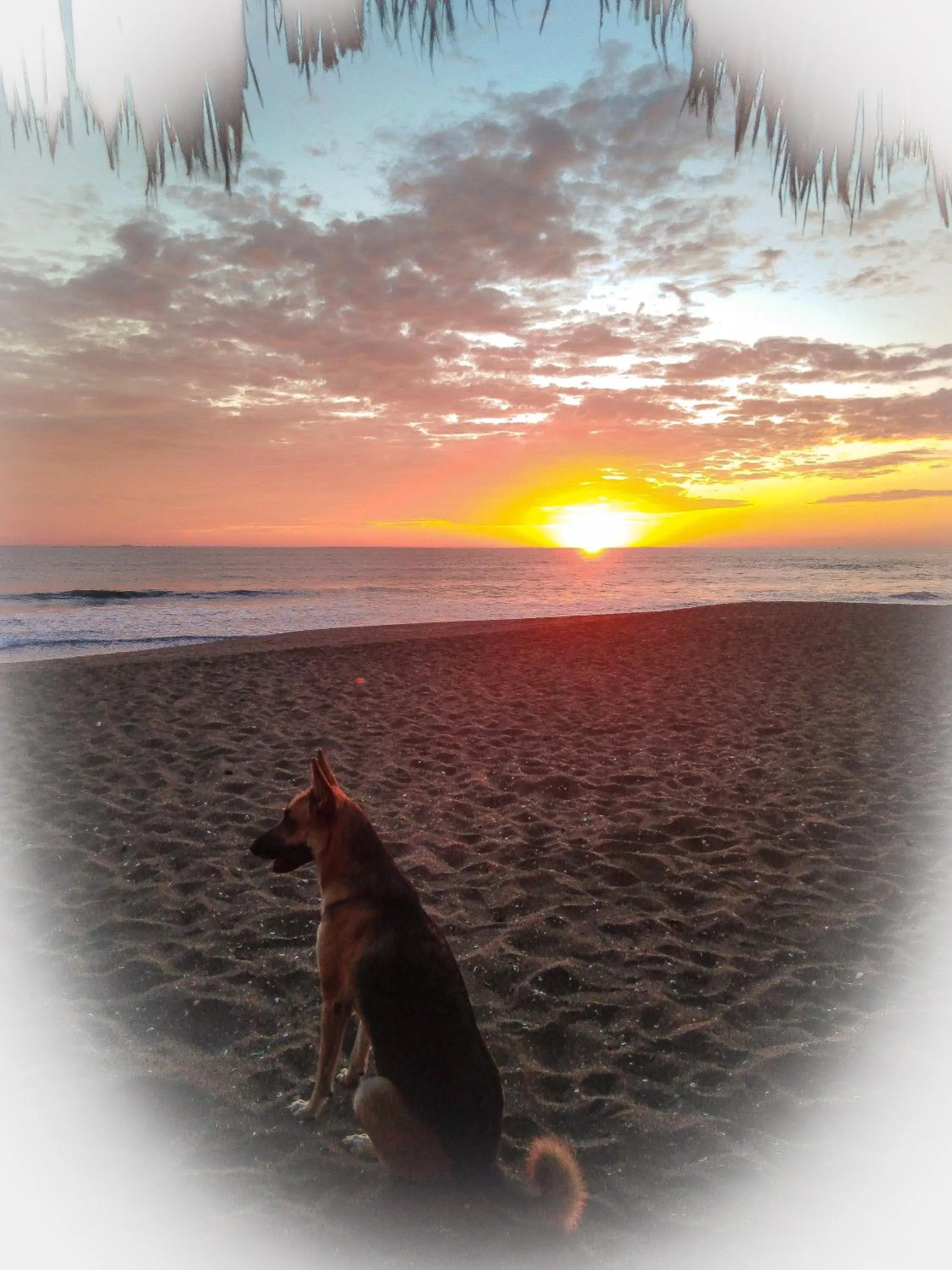Natural landscape in El Belga Loco