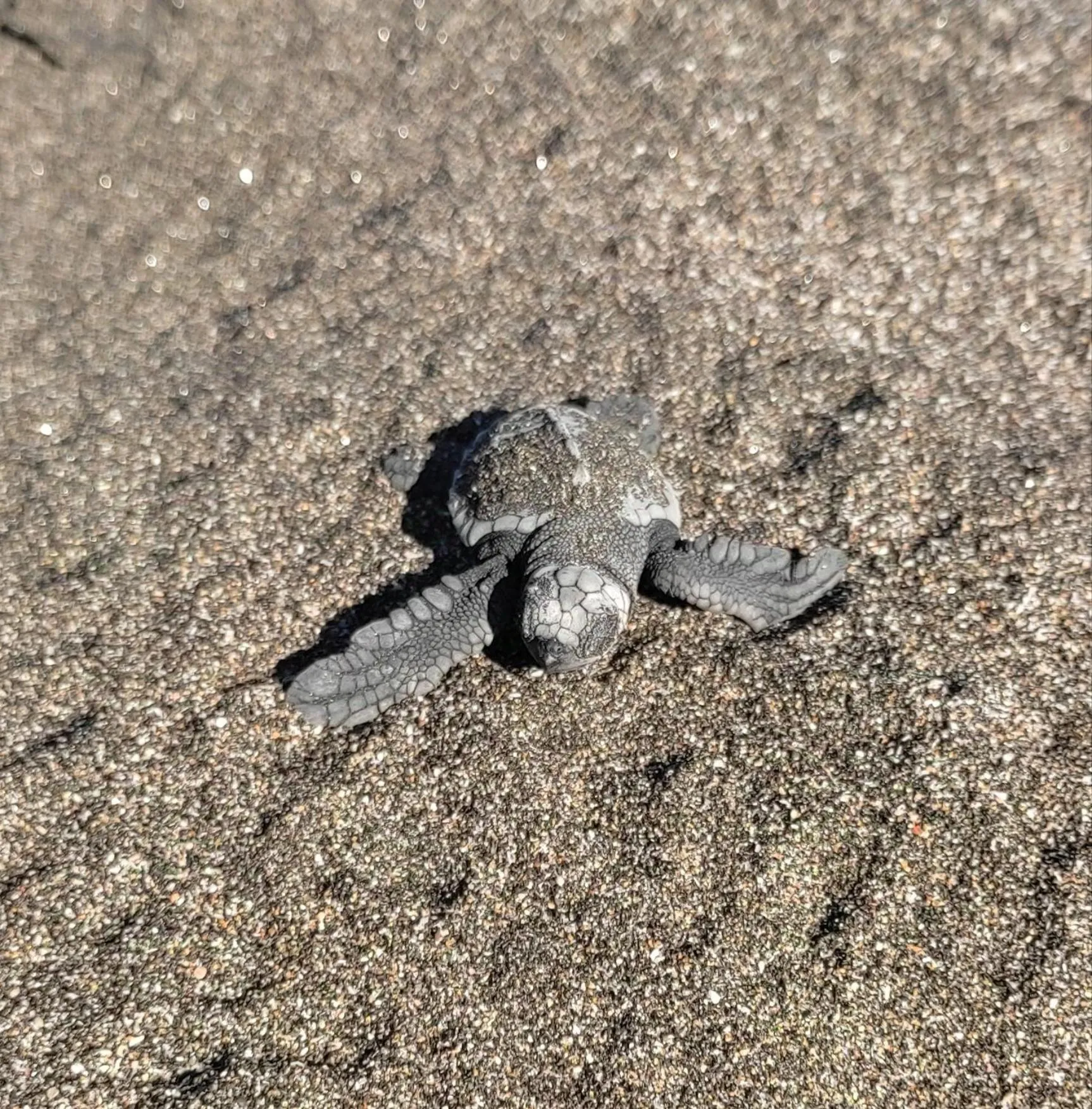 Natural landscape in El Belga Loco